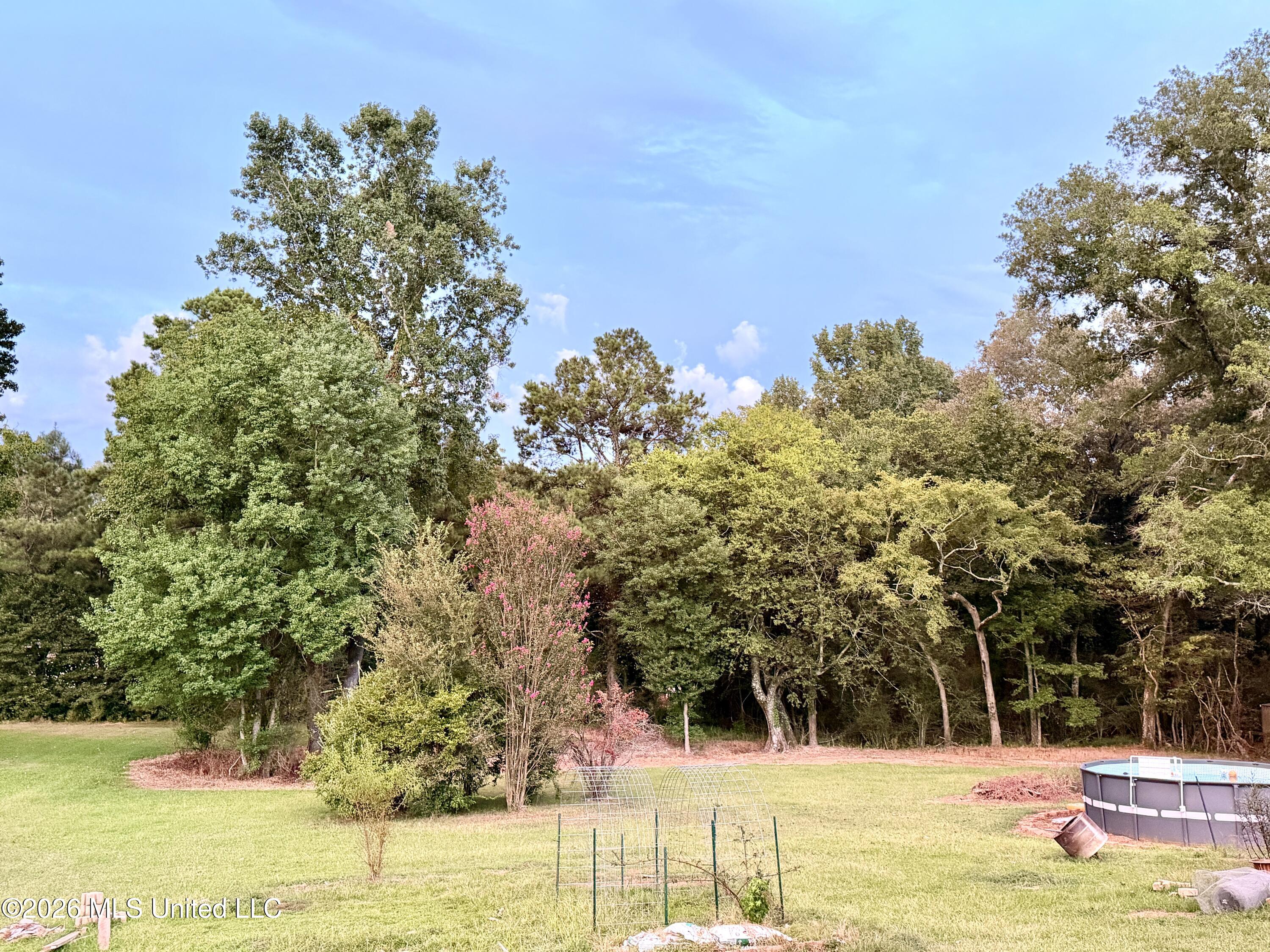 6165 Kay Brook Drive Property Photo 7