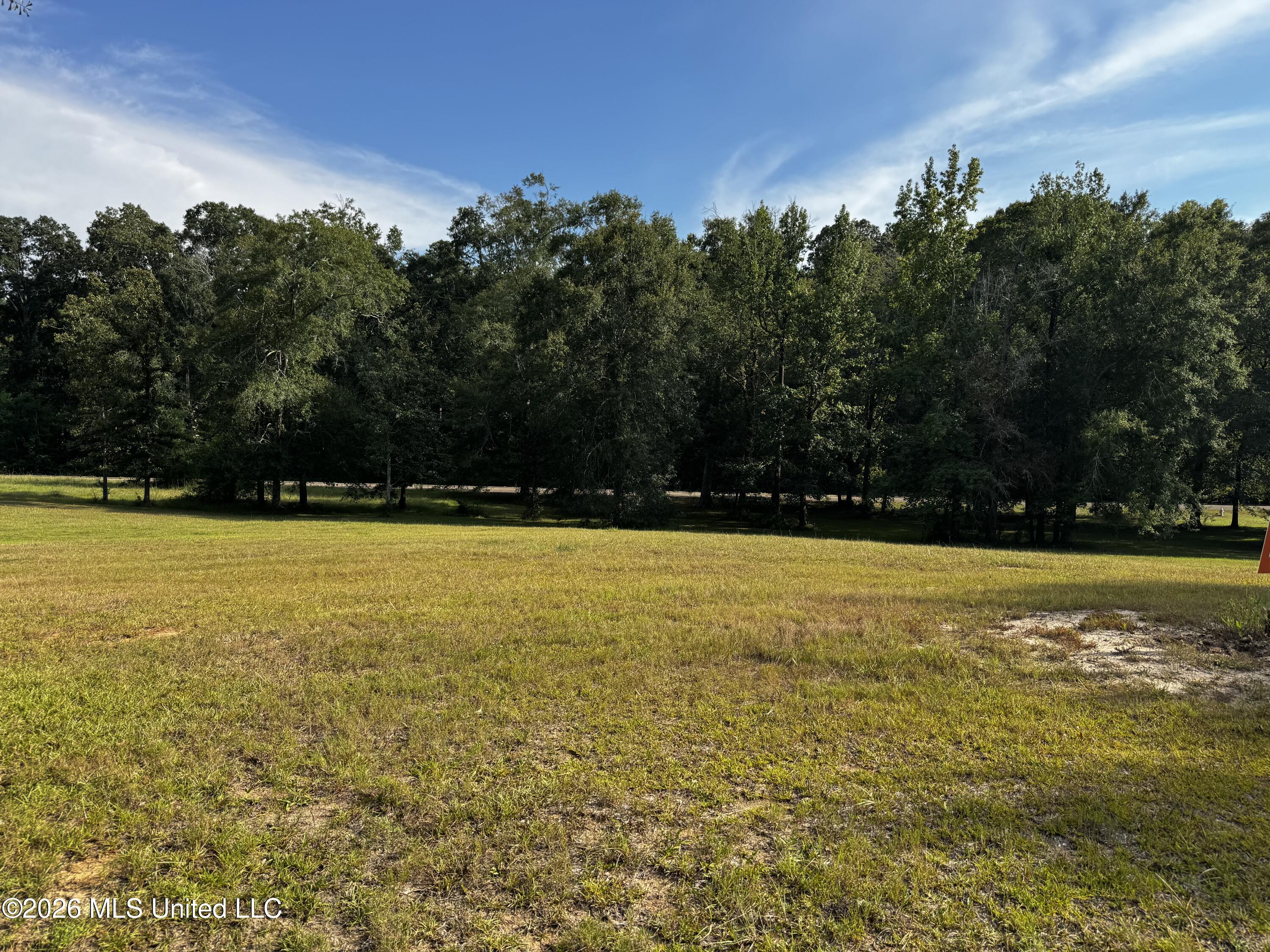 Lot 18 Briar Creek Circle Property Photo 1