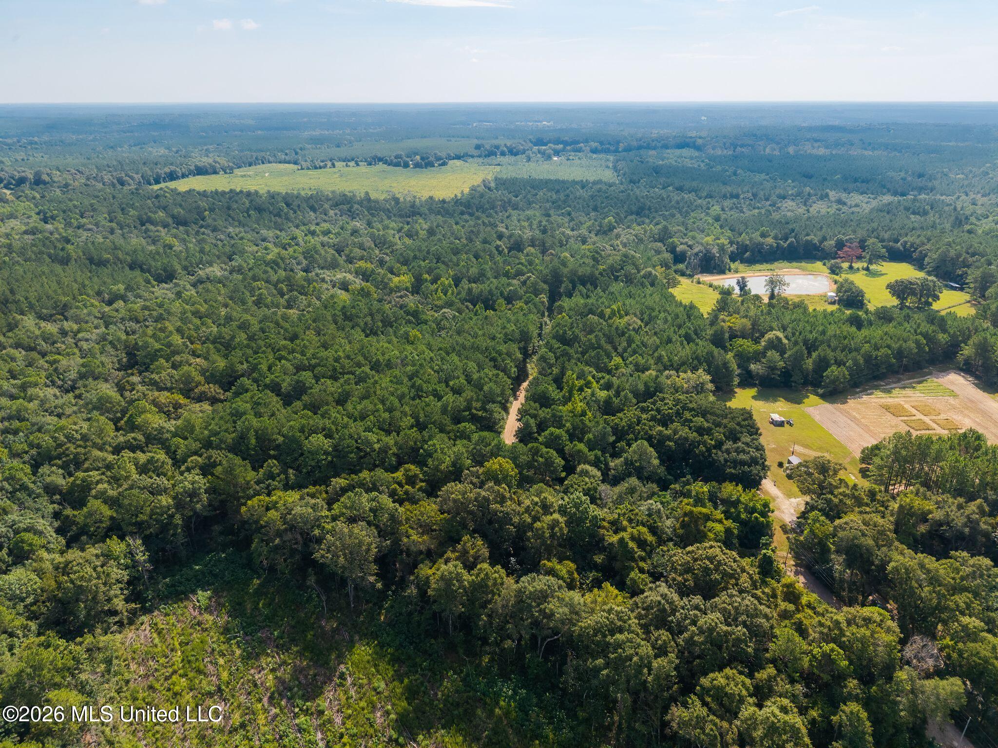 0 Big Hill Property Photo 3
