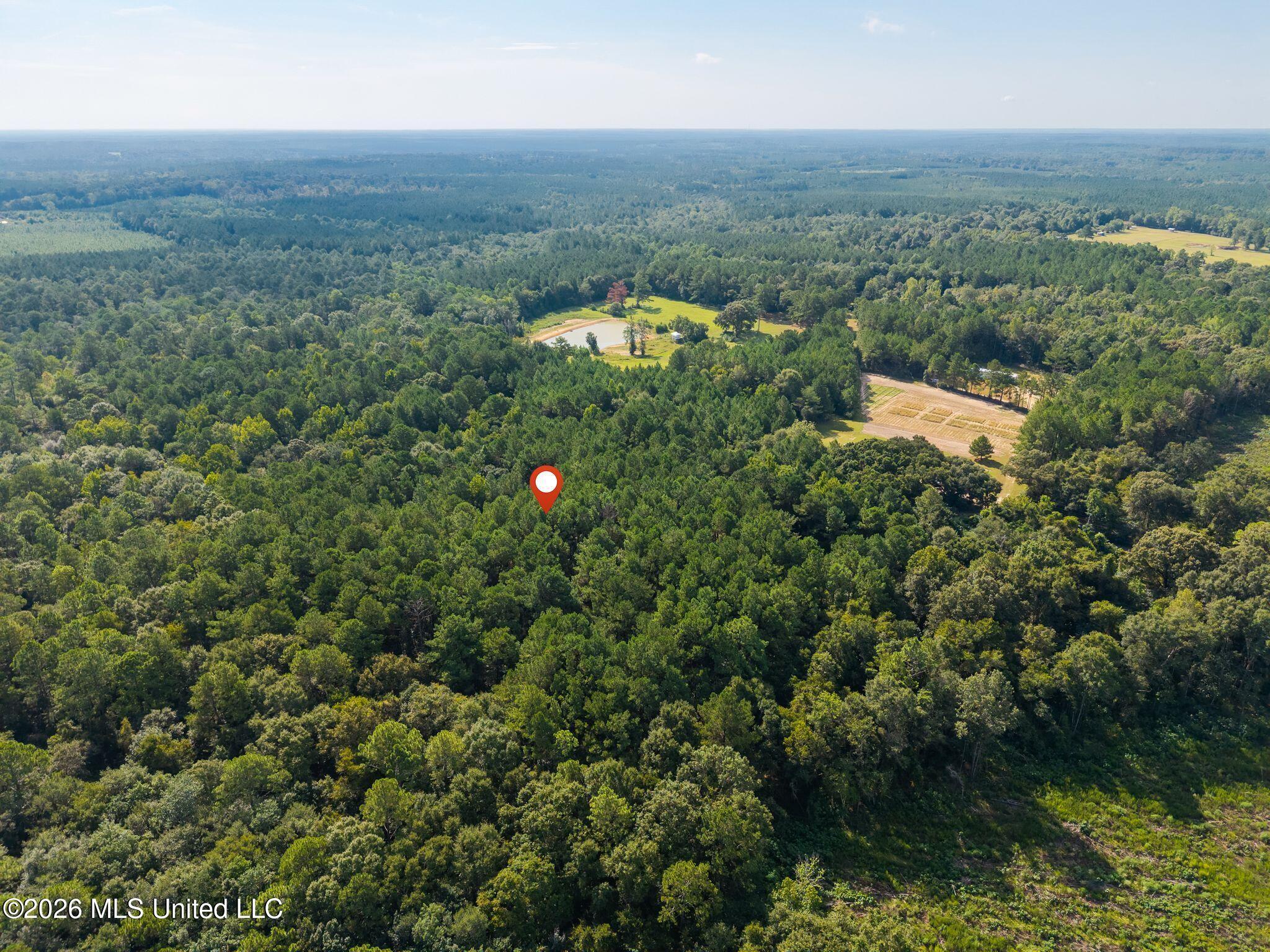 0 Big Hill Property Photo 4