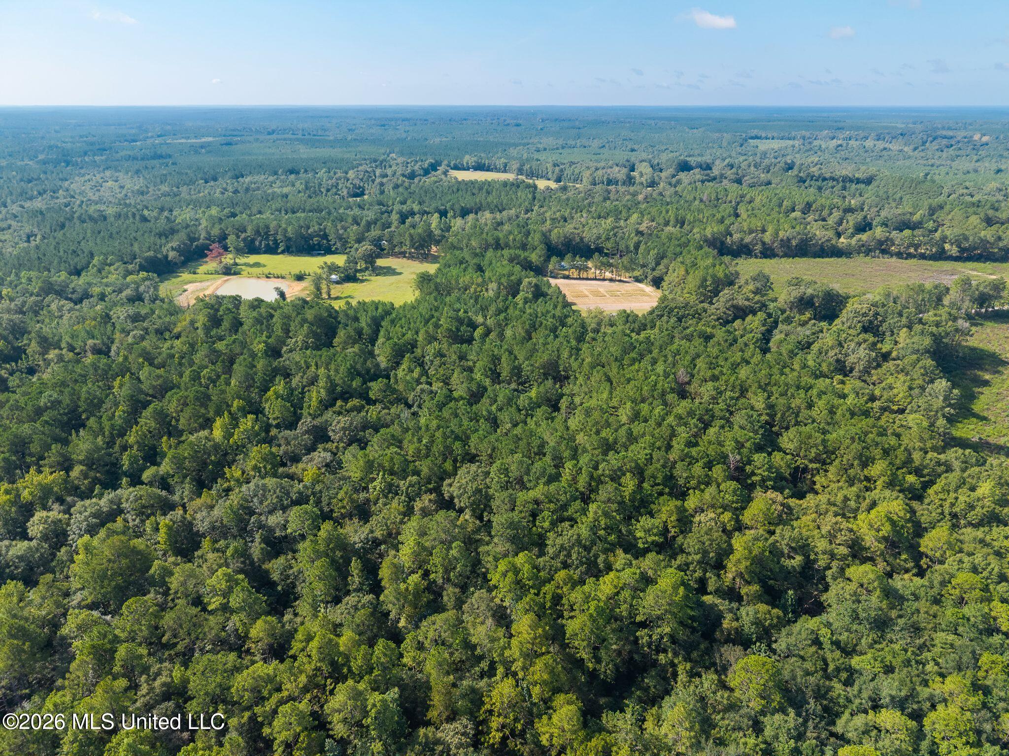 0 Big Hill Property Photo 5