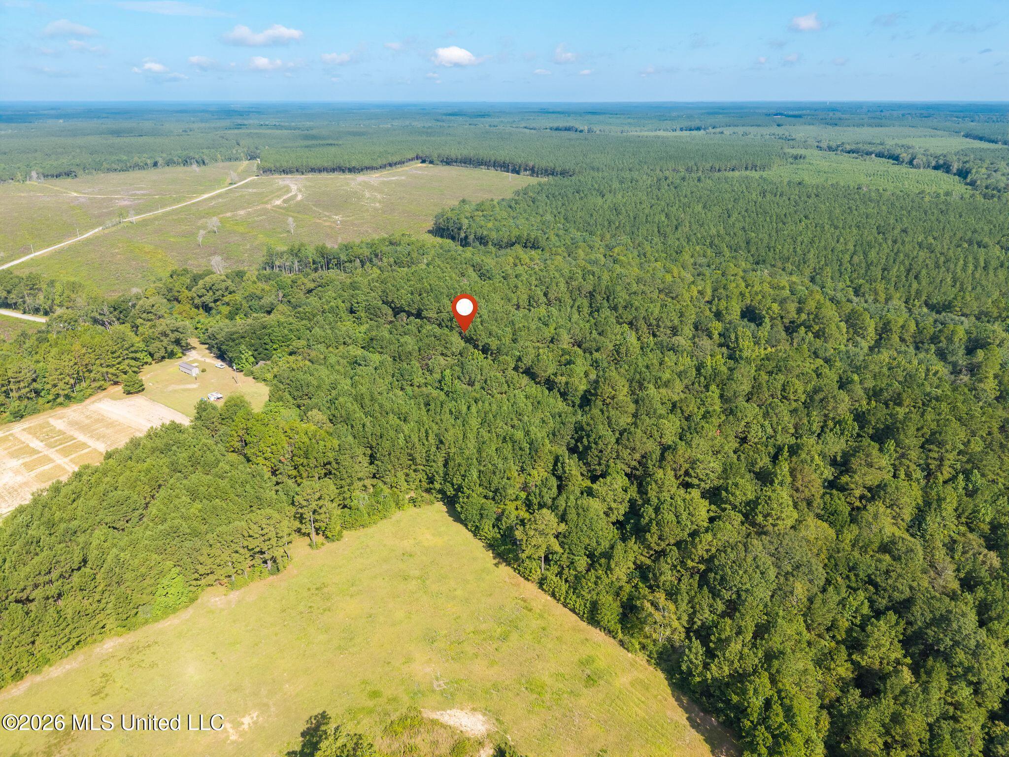 0 Big Hill Property Photo 8