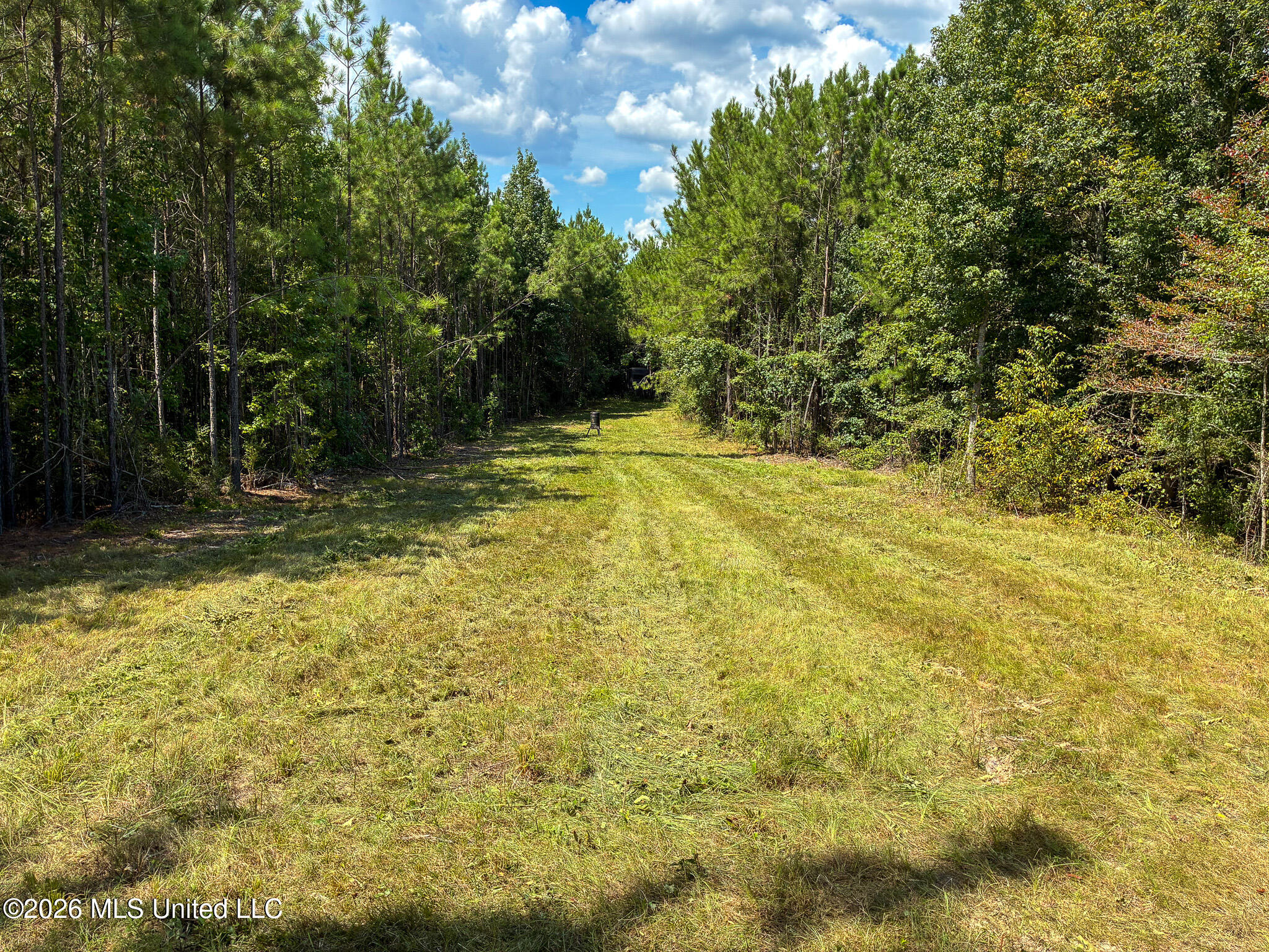 Harvey Road Property Photo 3