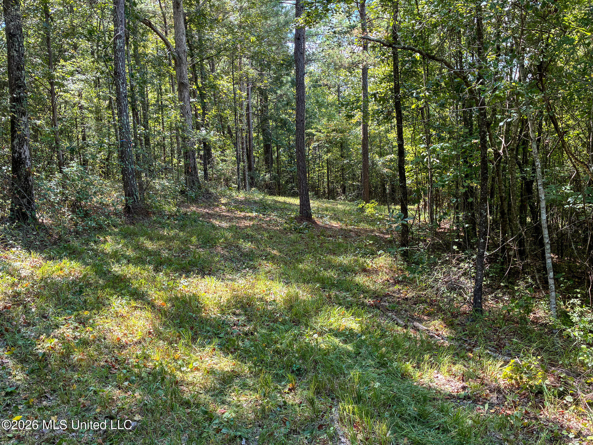 Harvey Road Property Photo 6