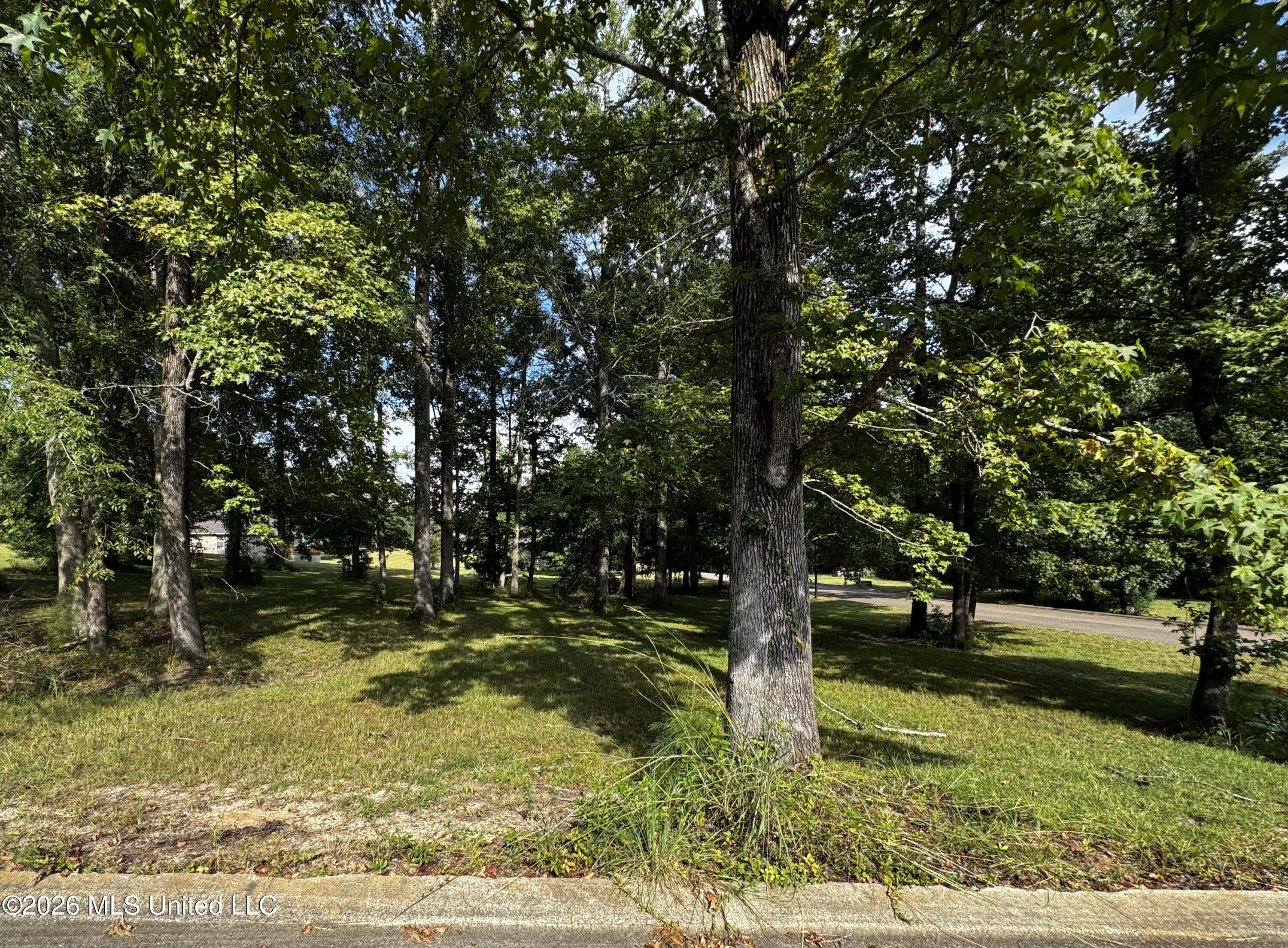 Lot 25 Briar Creek Circle Property Photo 1