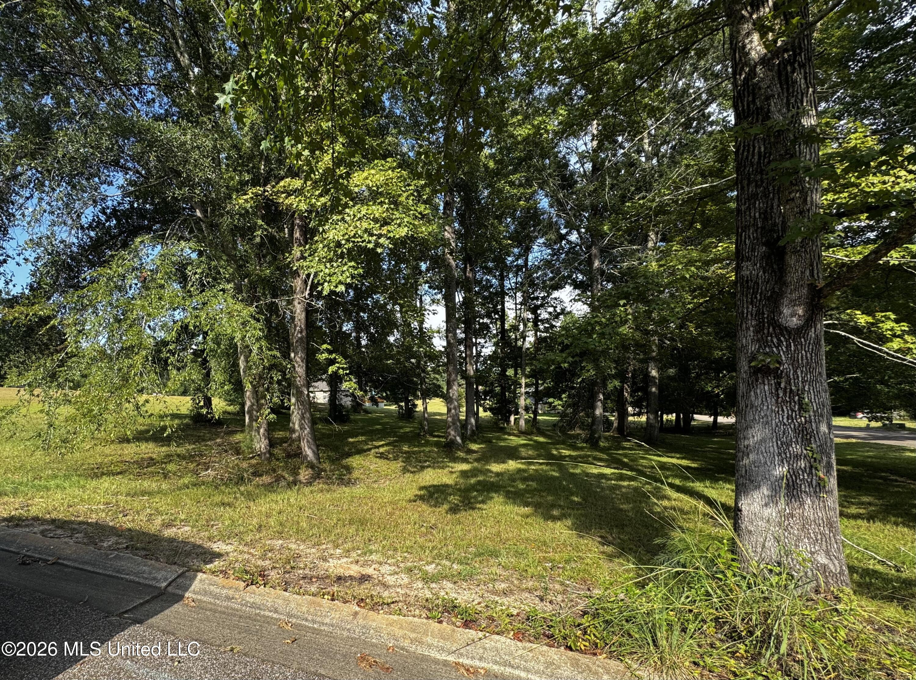 Lot 25 Briar Creek Circle Property Photo 3