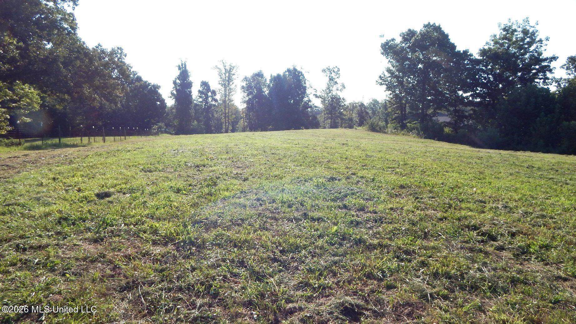 400 Arkabutla Dam Road Property Photo 3