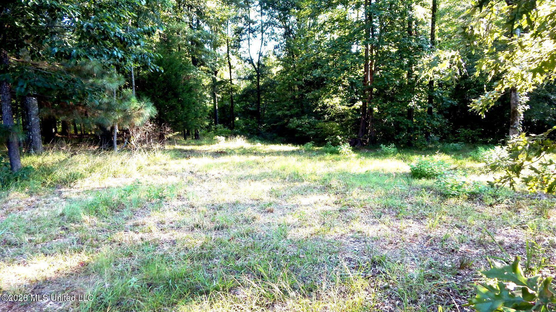 400 Arkabutla Dam Road Property Photo 5