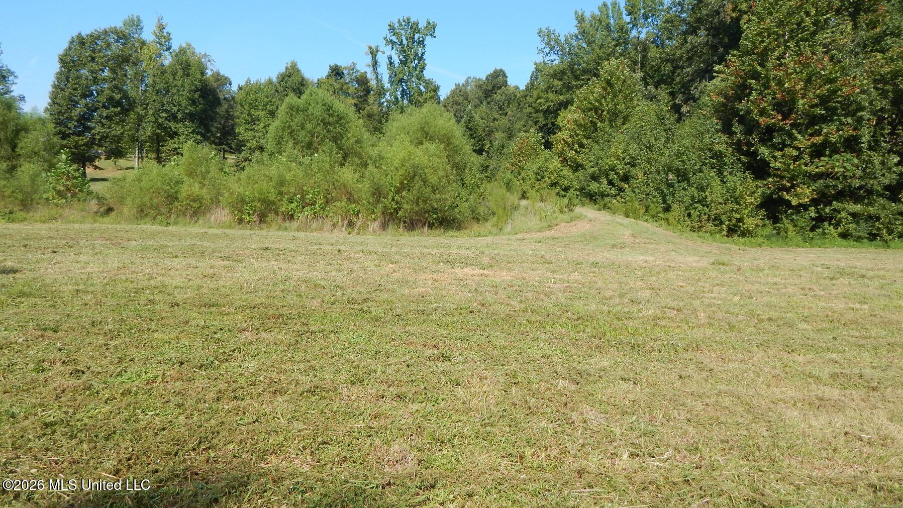 400 Arkabutla Dam Road Property Photo 7
