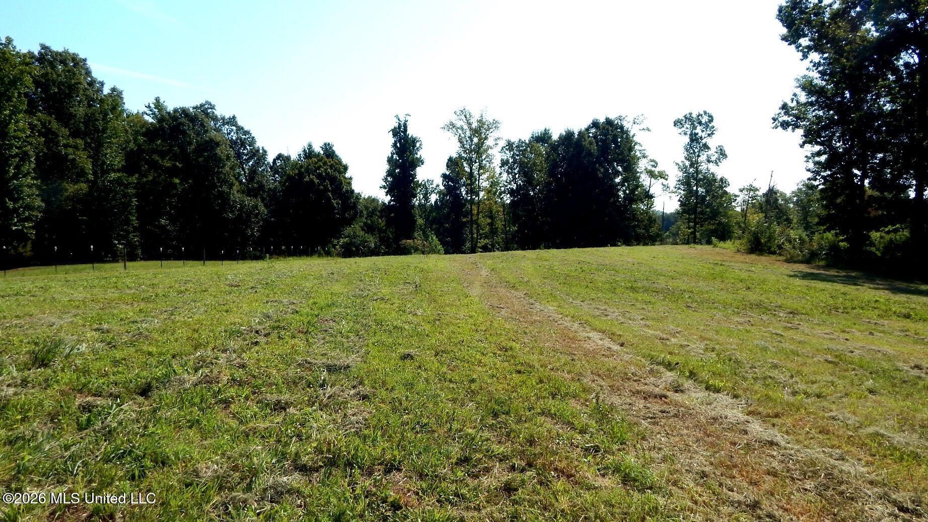 400 Arkabutla Dam Road Property Photo 12