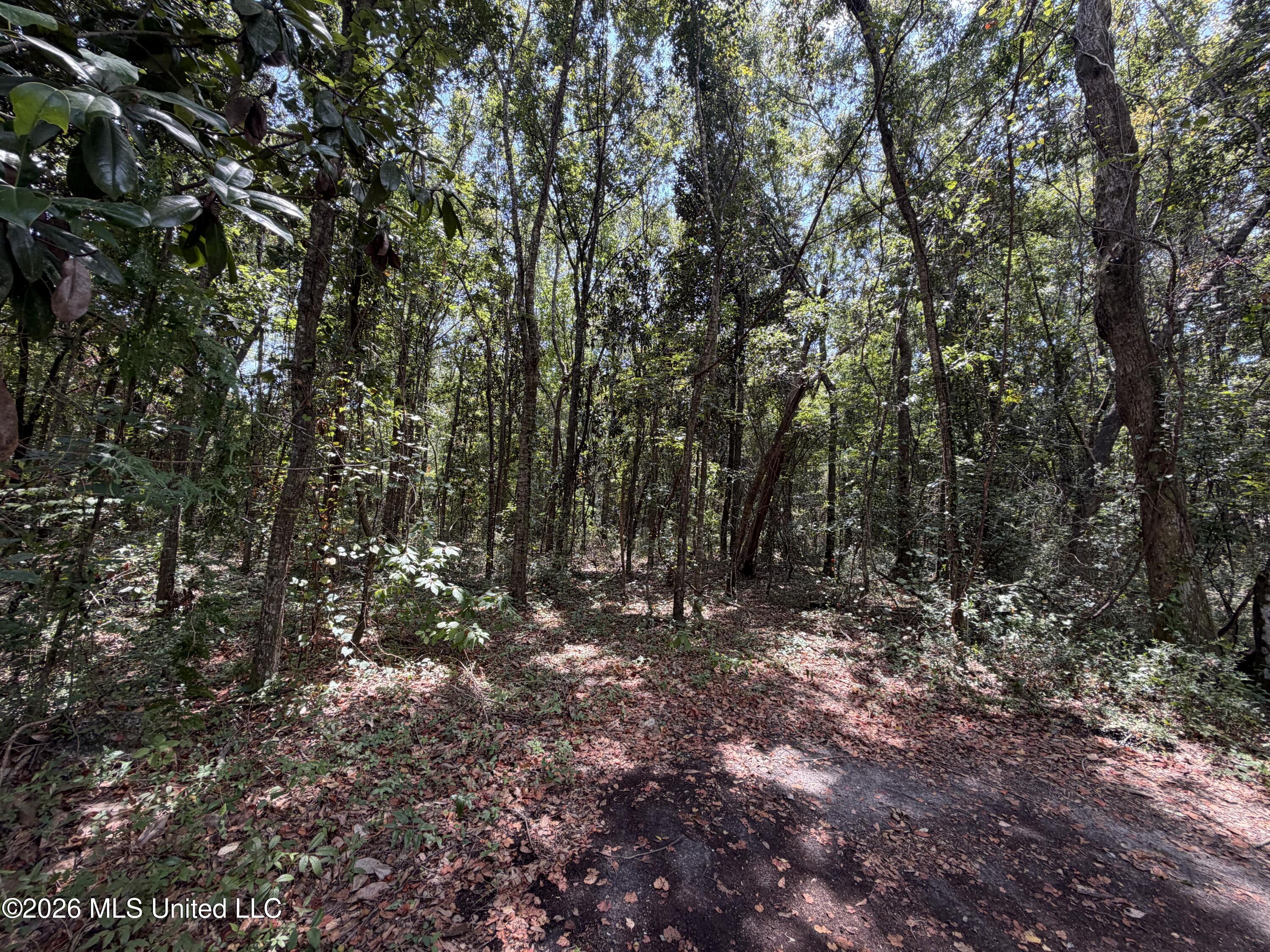 Brumbaugh Road Property Photo 1