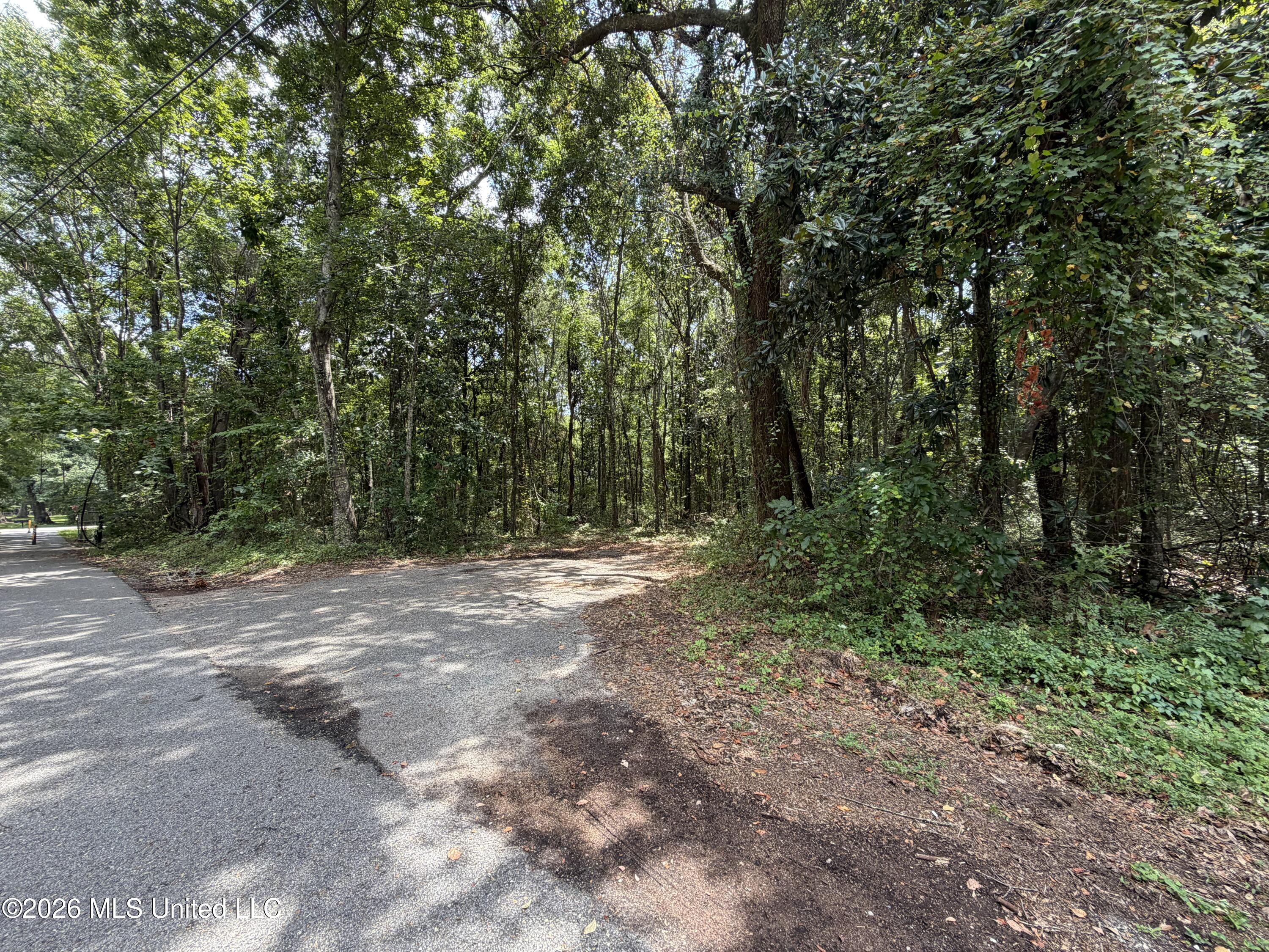 Brumbaugh Road Property Photo 3