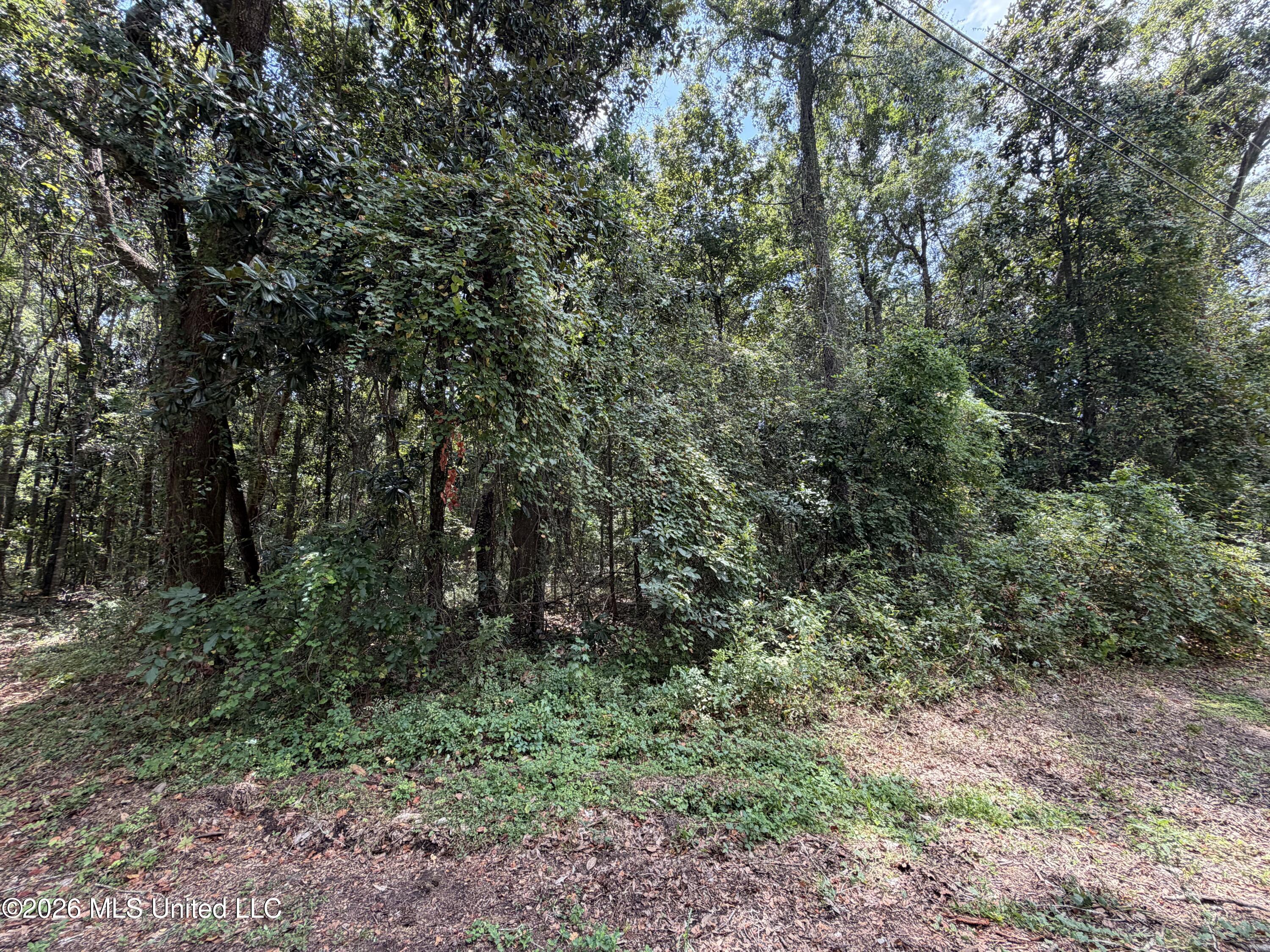 Brumbaugh Road Property Photo 4