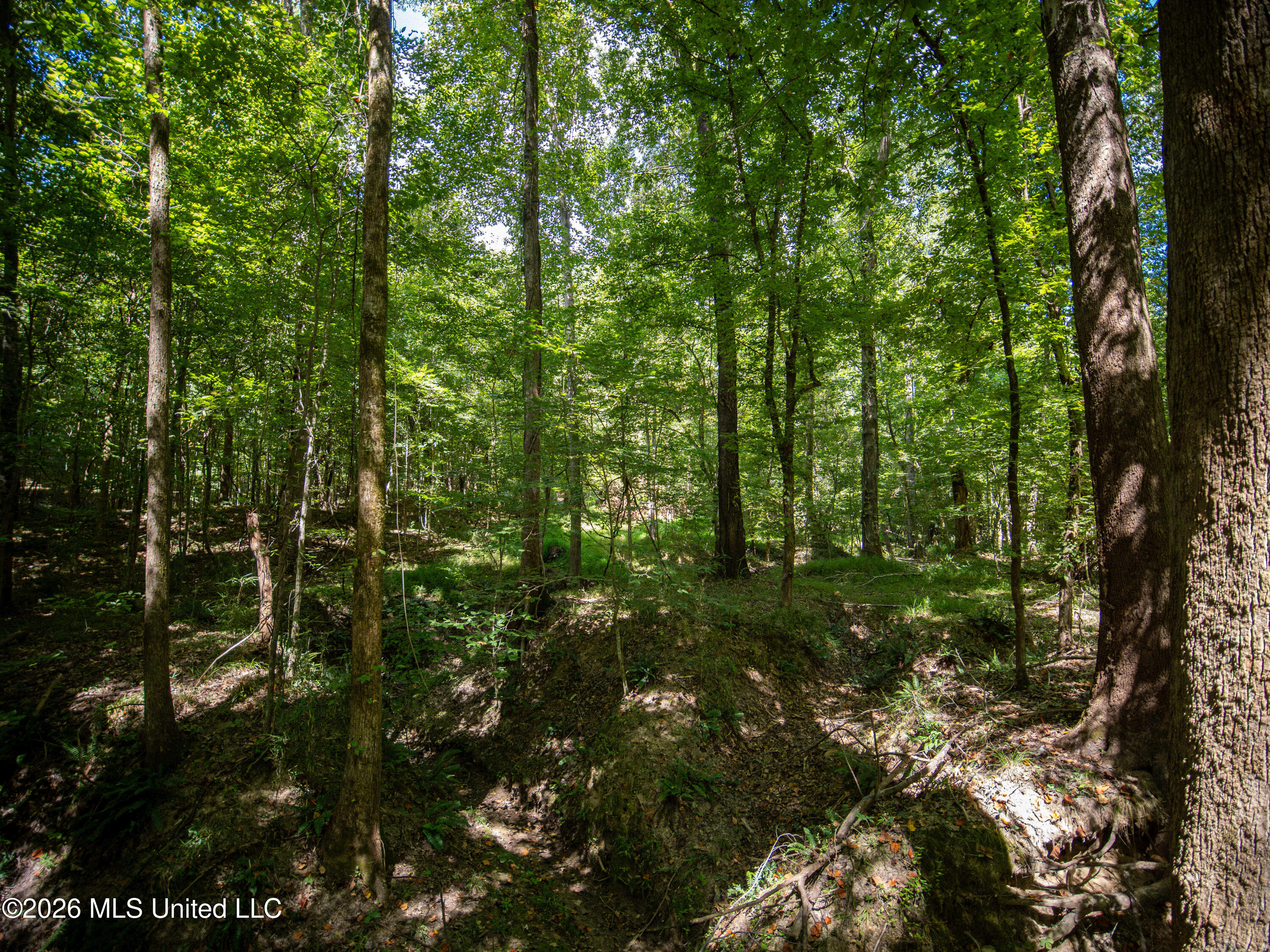 Myrleville Road Property Photo 33