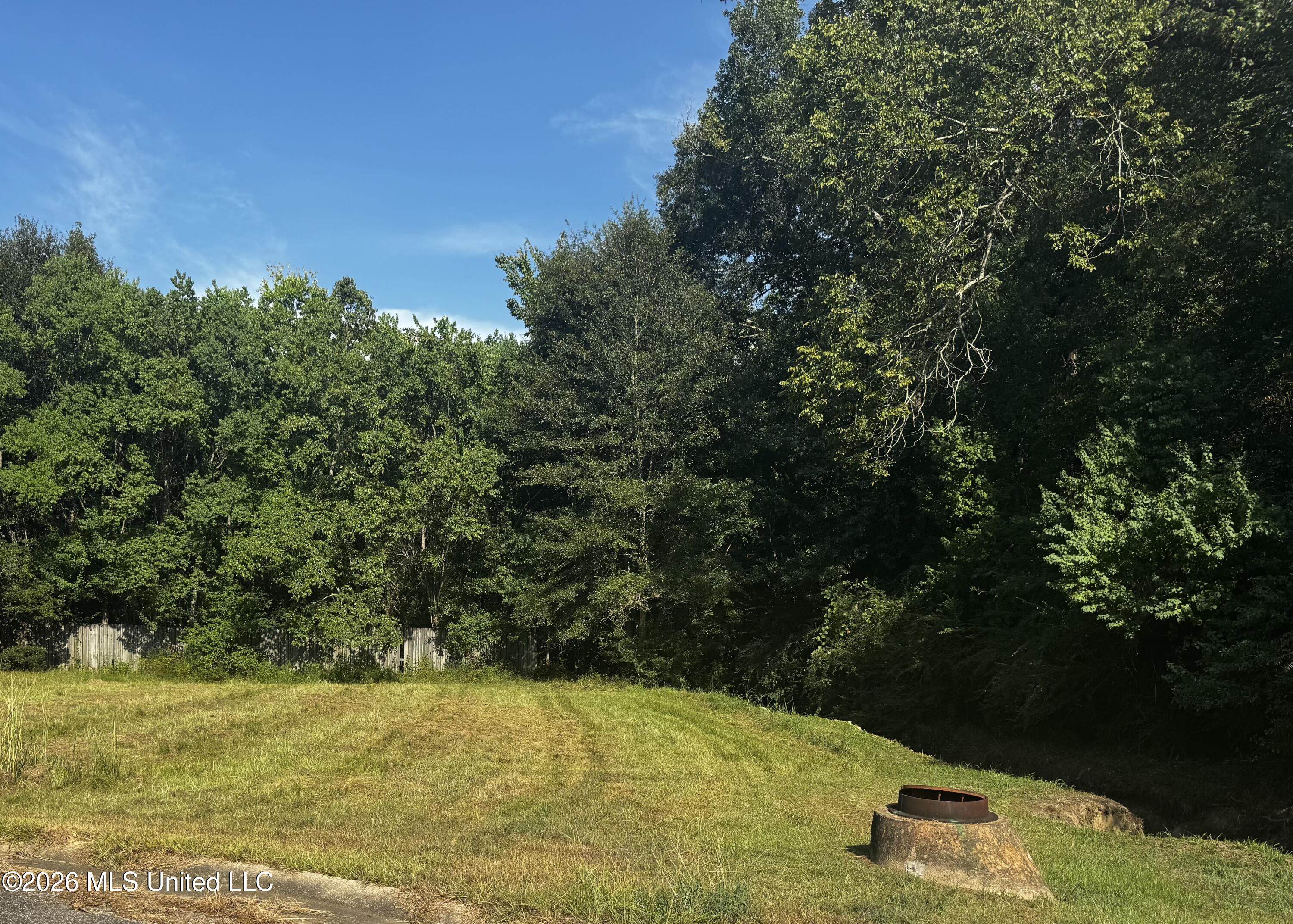 Lot 40 Briar Creek Circle Property Photo 1