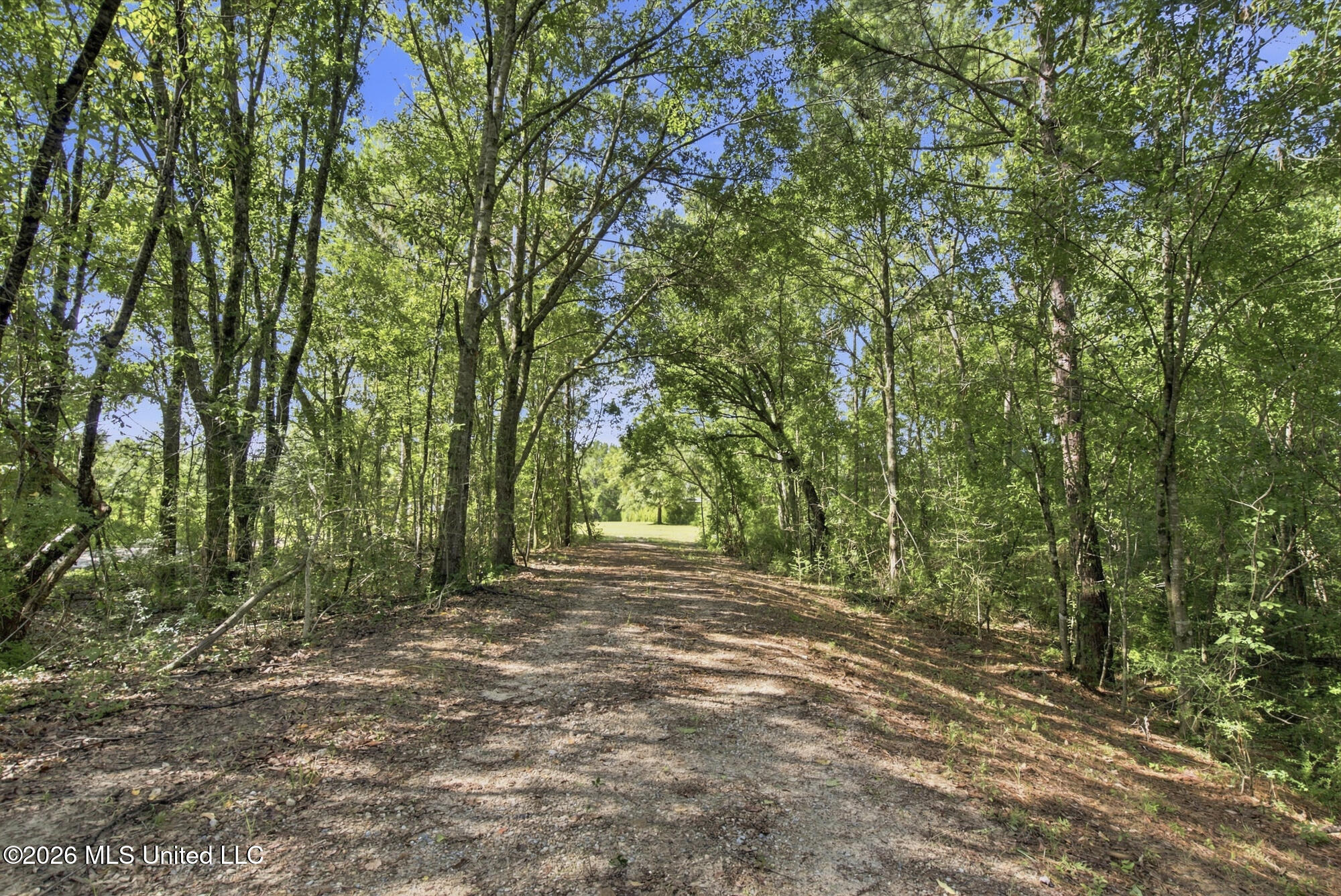132 Cody Goldman Road Property Photo 1
