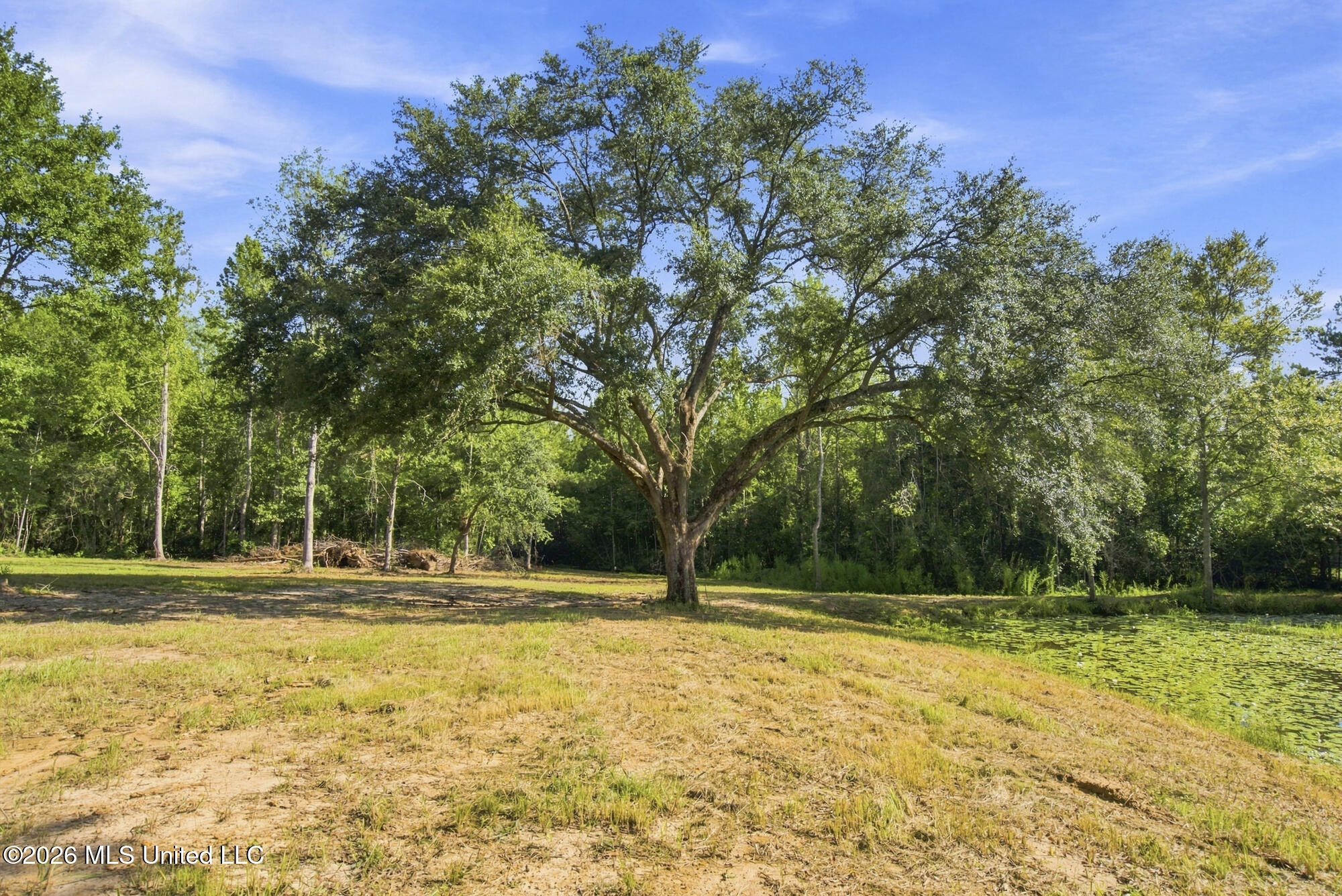 132 Cody Goldman Road Property Photo 3