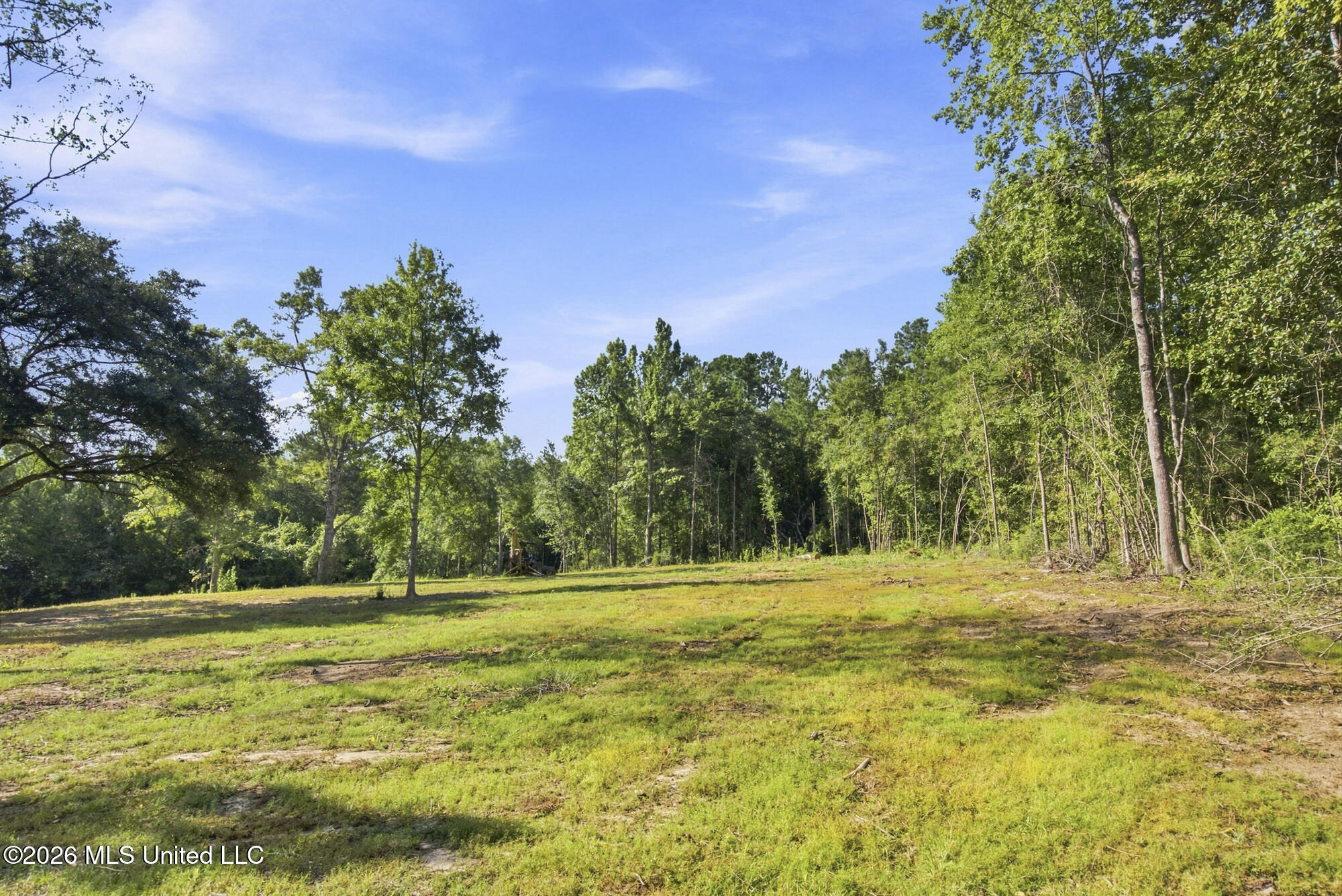132 Cody Goldman Road Property Photo 4