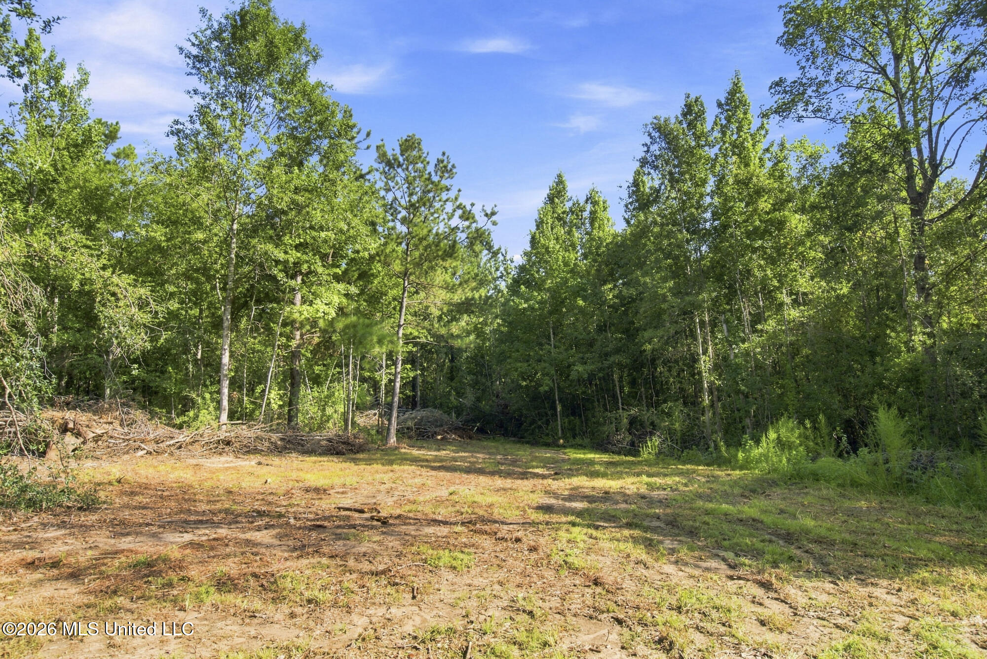132 Cody Goldman Road Property Photo 5