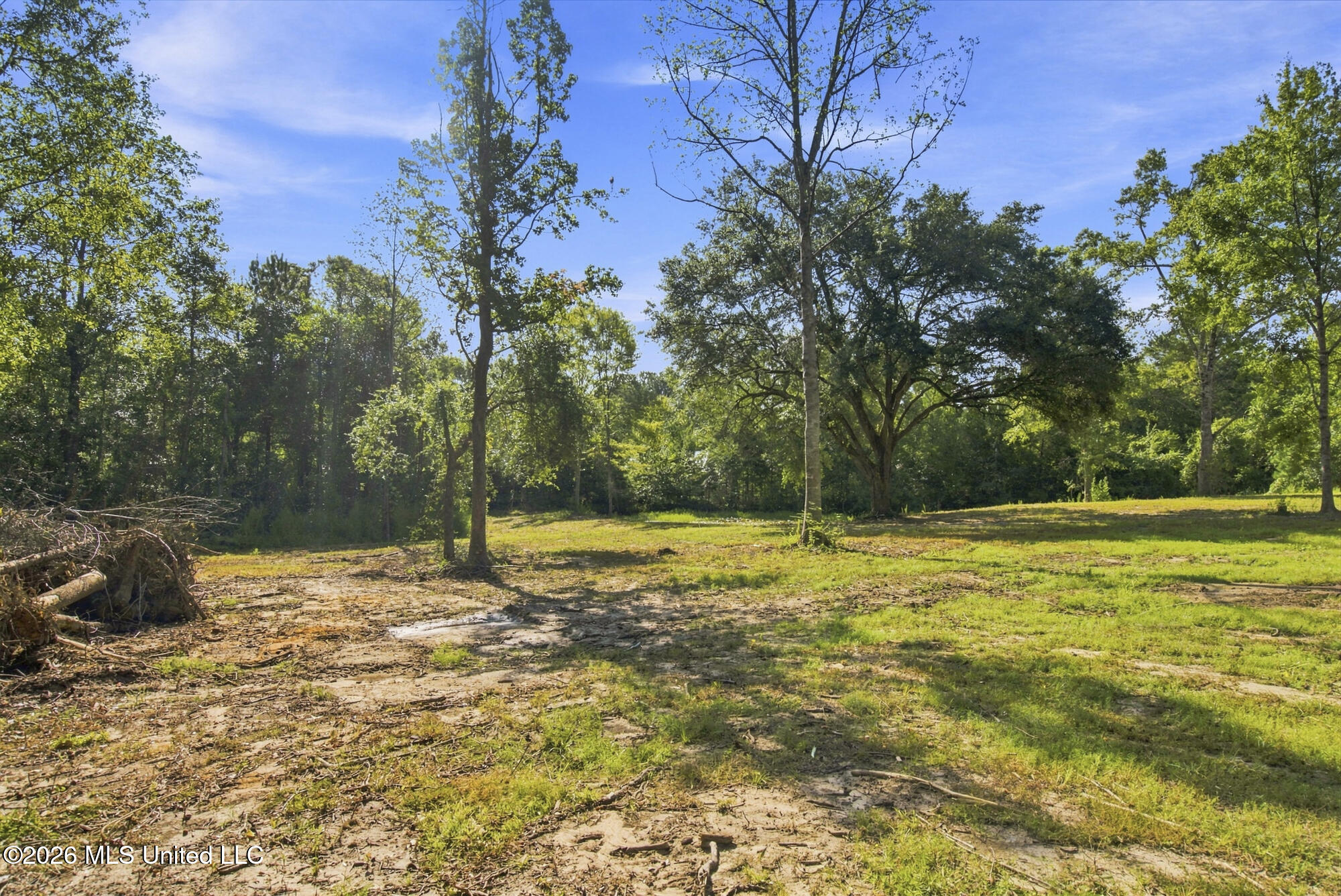 132 Cody Goldman Road Property Photo 7