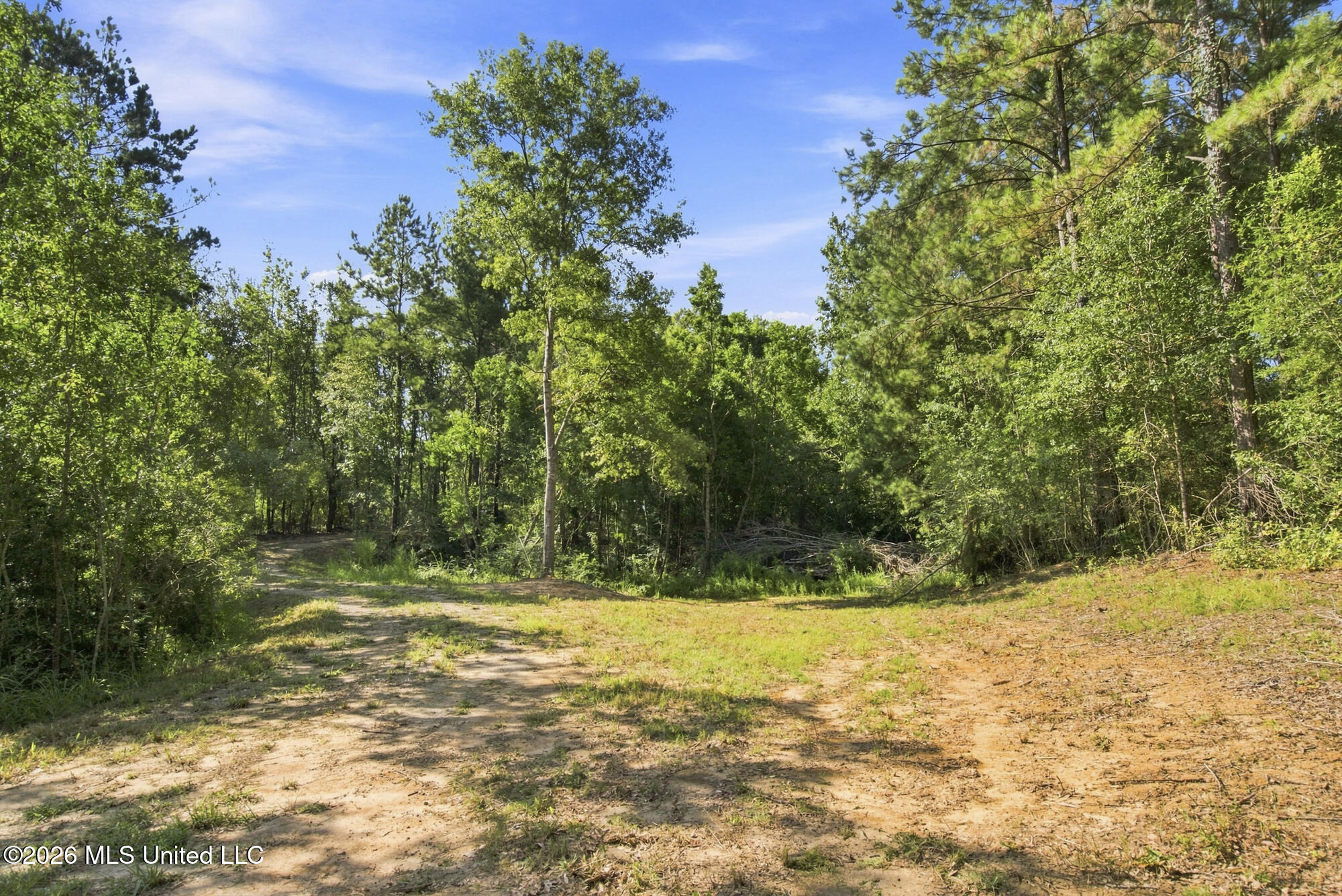 132 Cody Goldman Road Property Photo 8