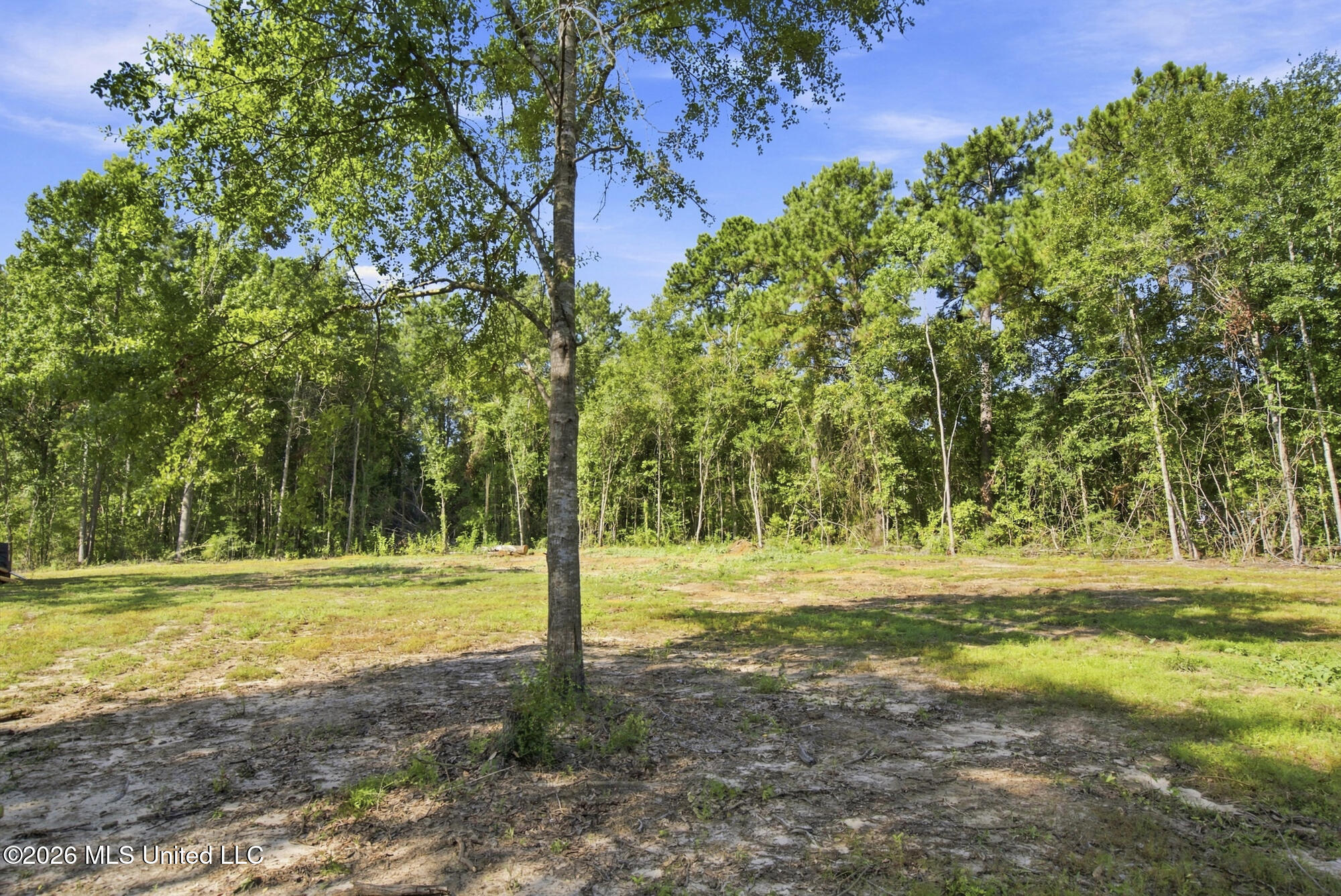132 Cody Goldman Road Property Photo 9