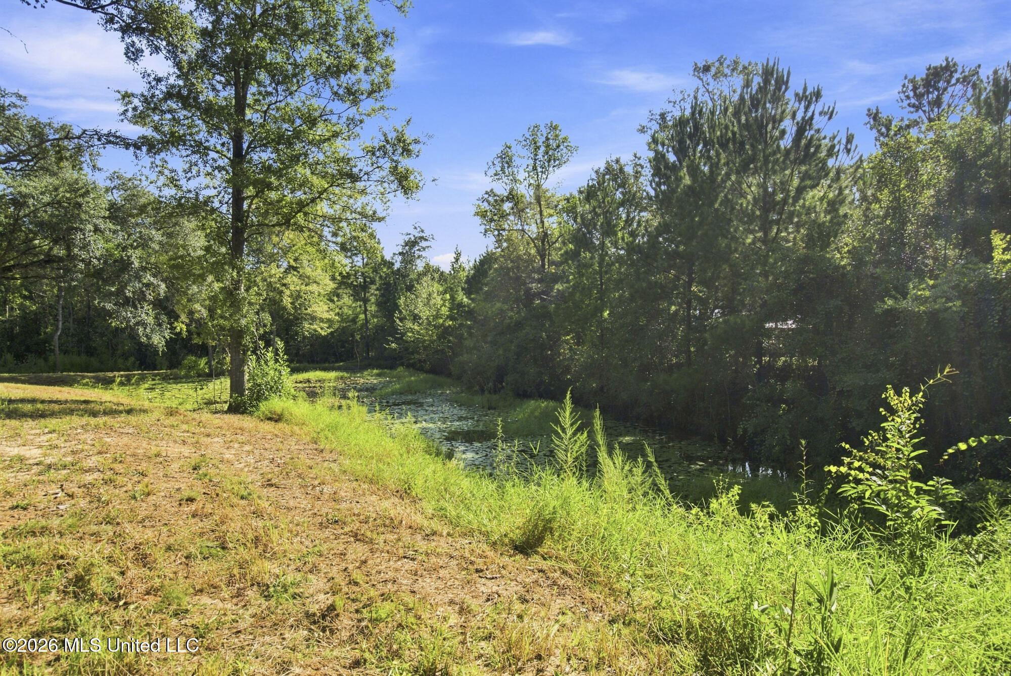 132 Cody Goldman Road Property Photo 11