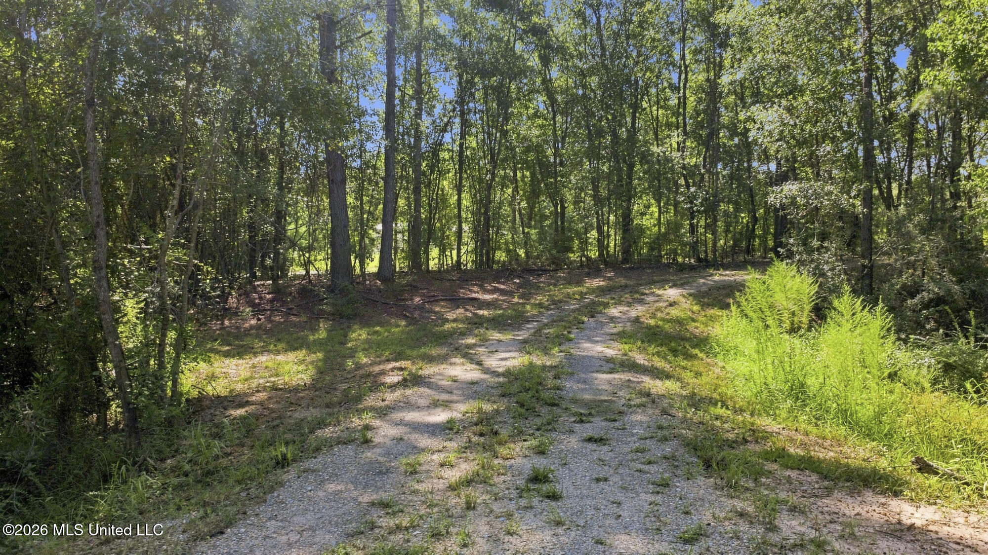 132 Cody Goldman Road Property Photo 13