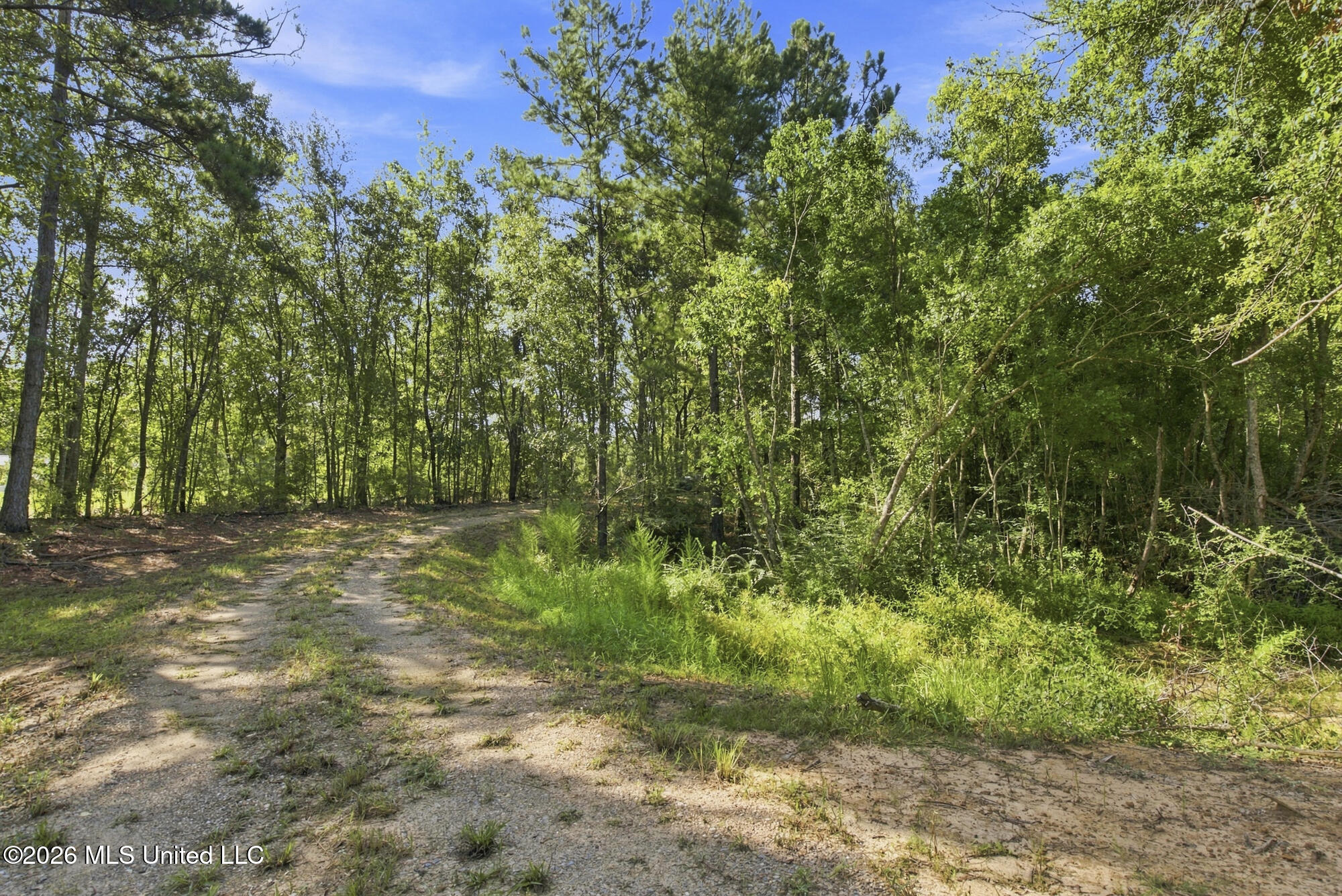 132 Cody Goldman Road Property Photo 14
