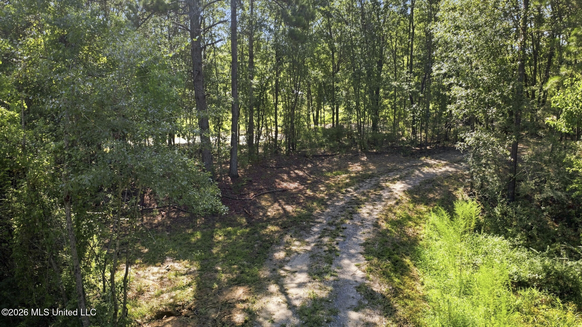 132 Cody Goldman Road Property Photo 15