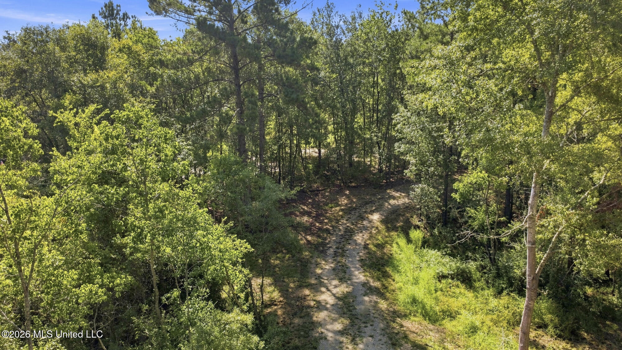 132 Cody Goldman Road Property Photo 16