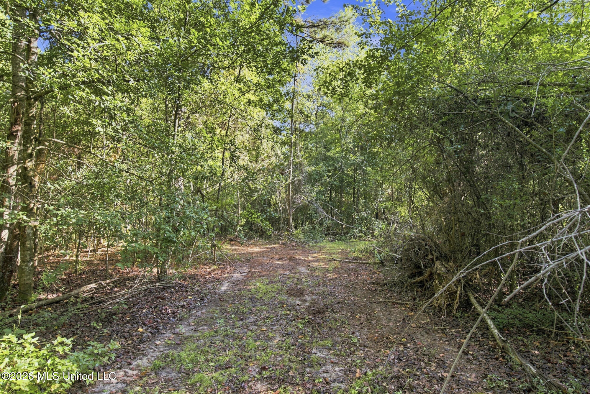 132 Cody Goldman Road Property Photo 17