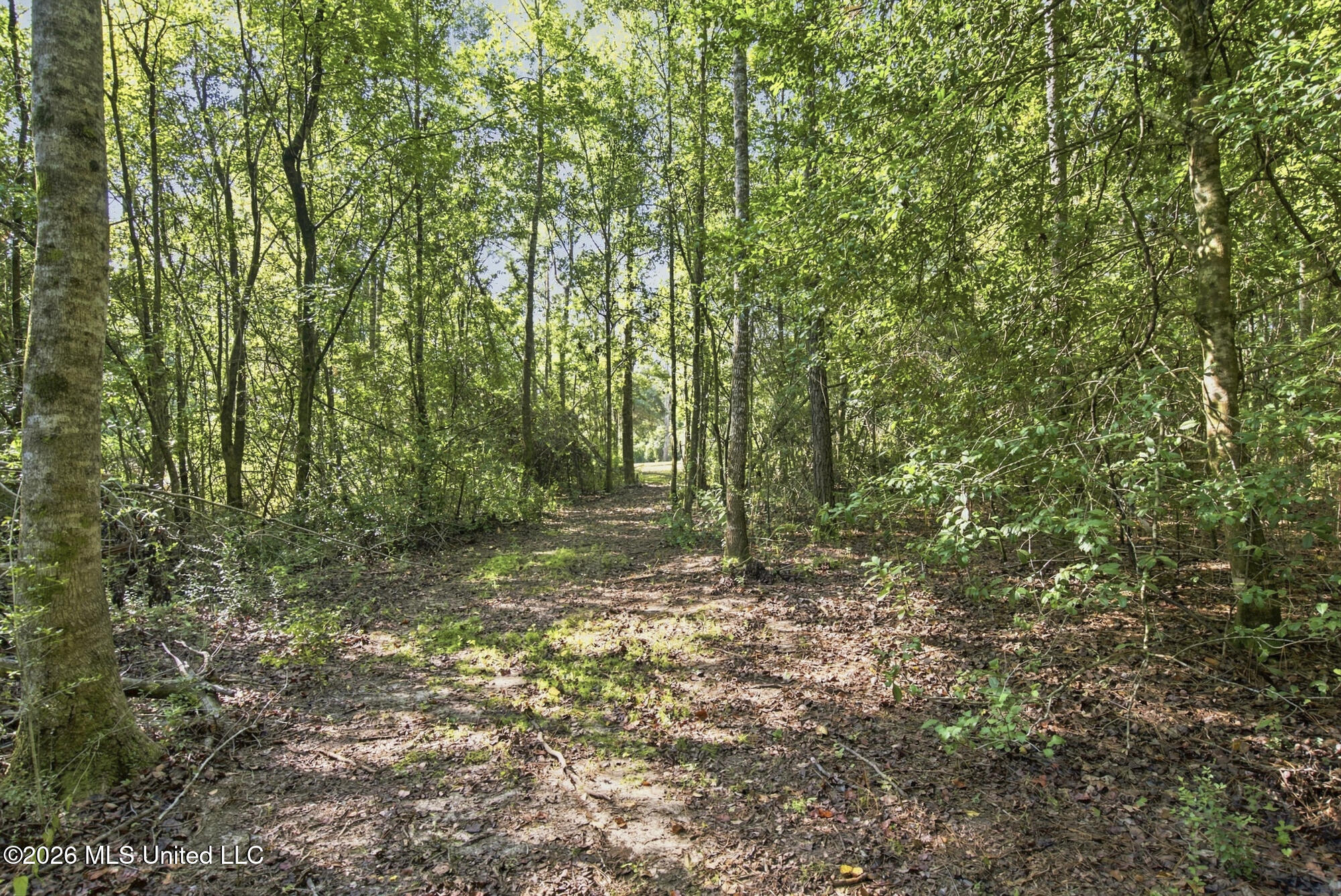 132 Cody Goldman Road Property Photo 18