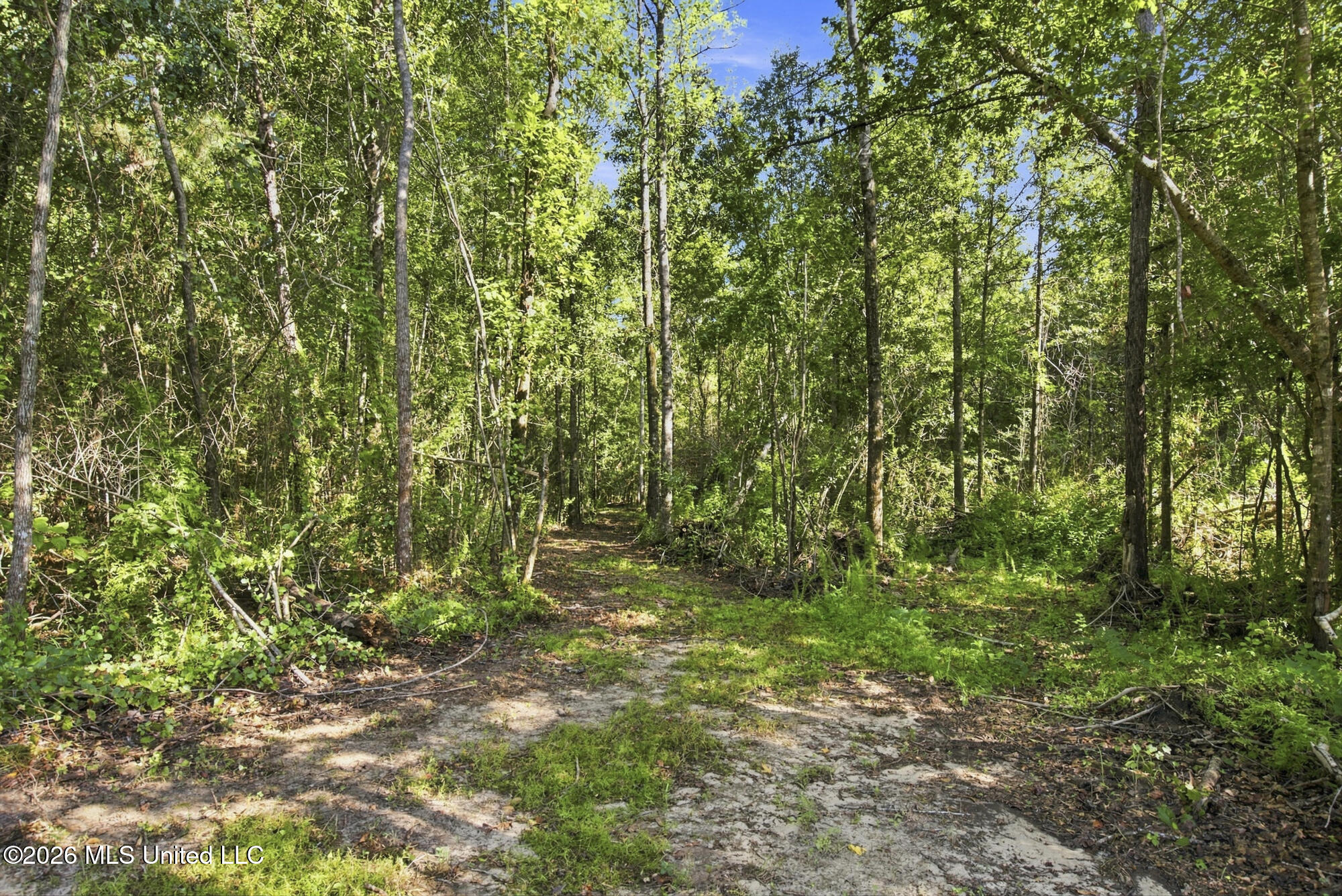 132 Cody Goldman Road Property Photo 19