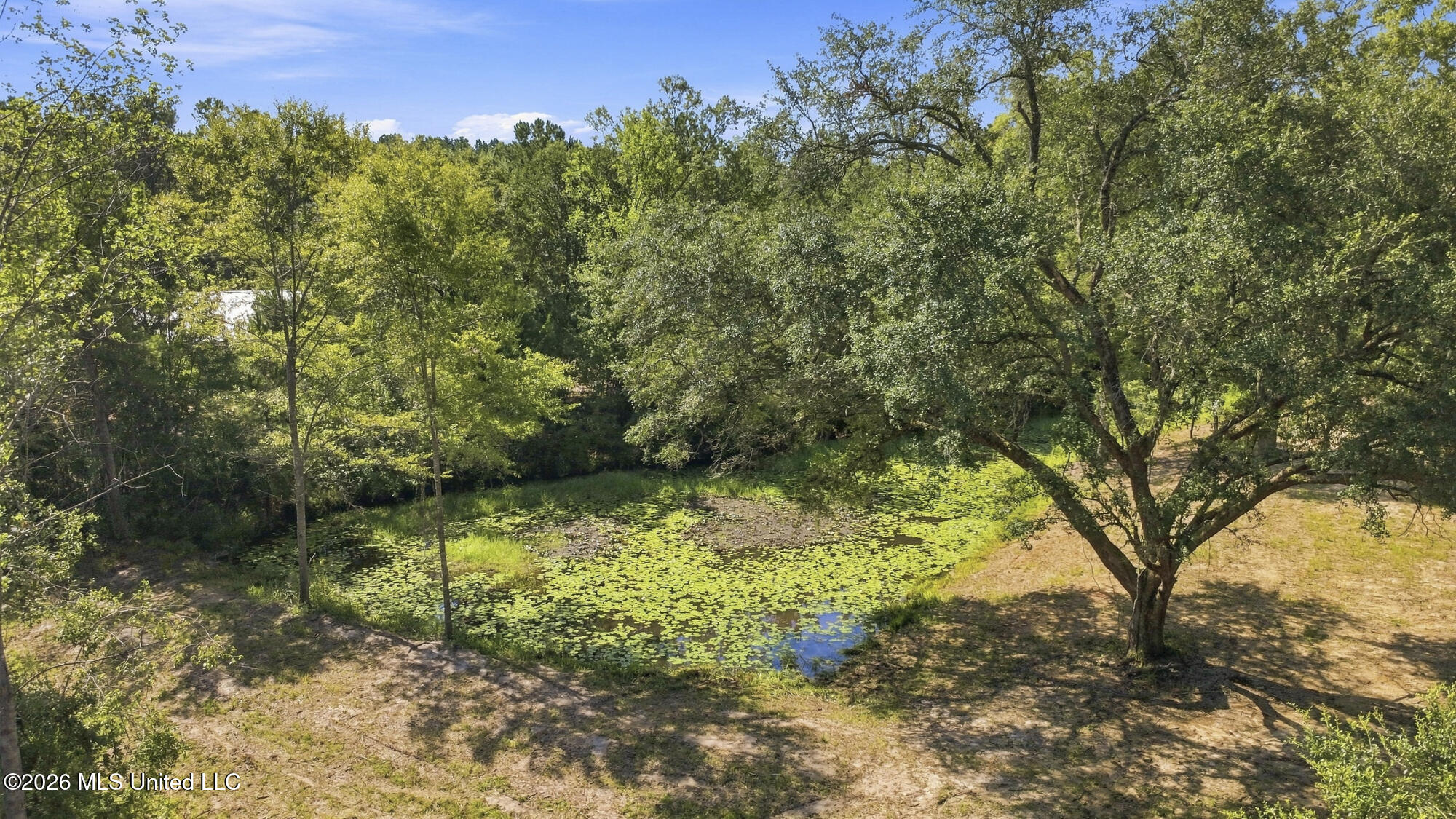 132 Cody Goldman Road Property Photo 20