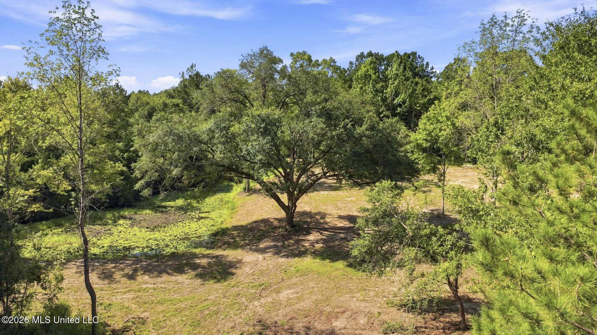132 Cody Goldman Road Property Photo 23