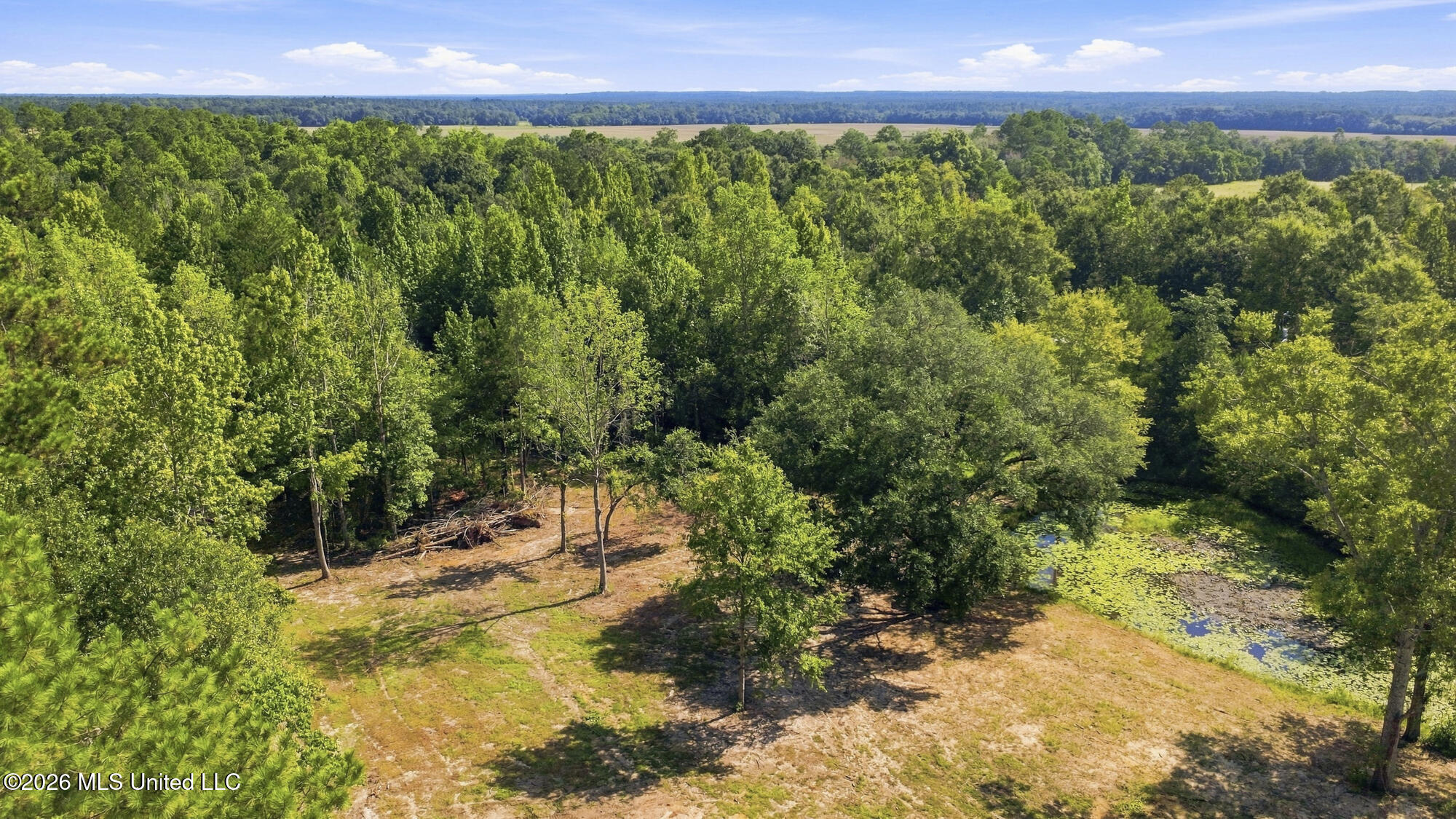 132 Cody Goldman Road Property Photo 26