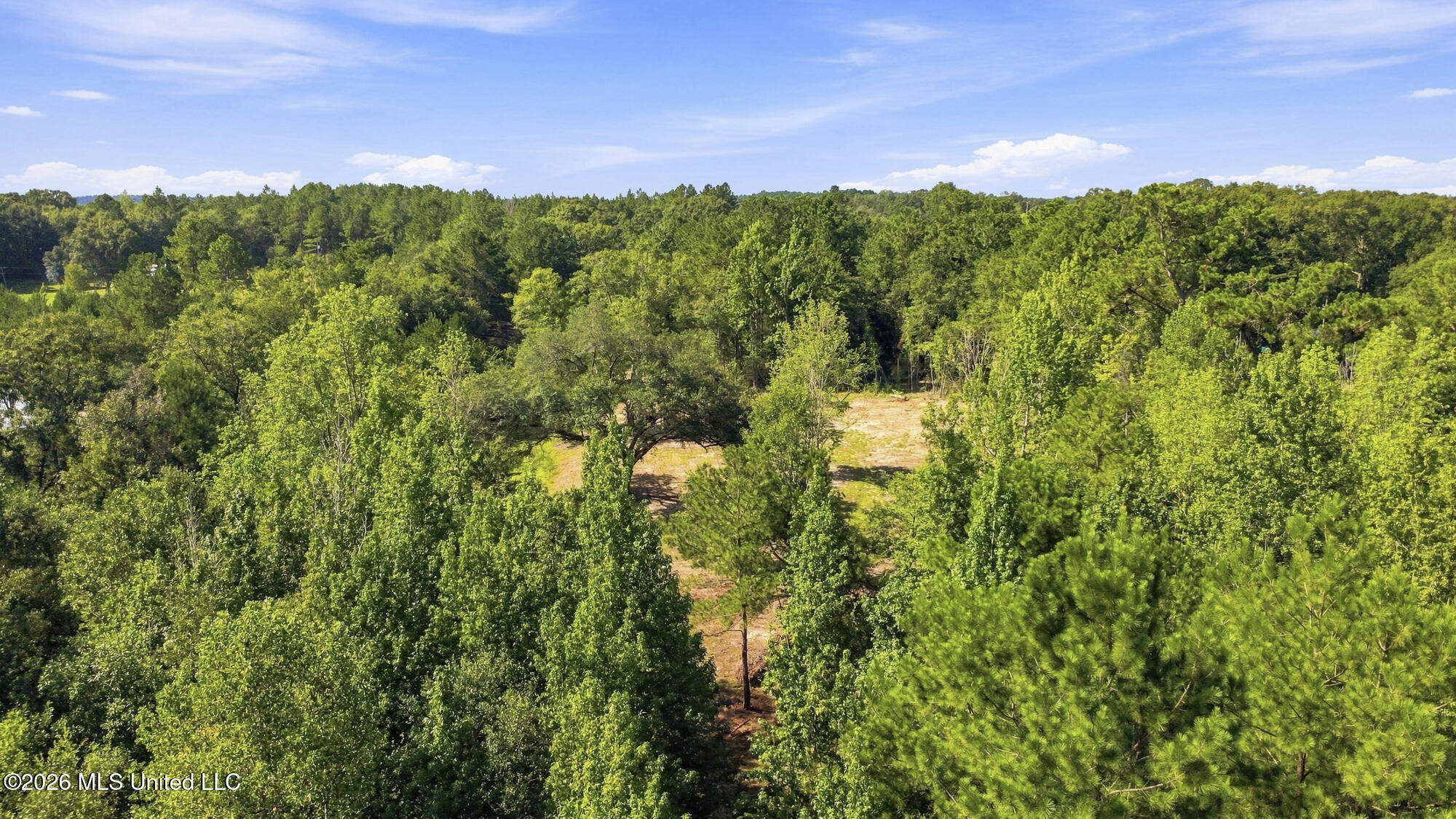 132 Cody Goldman Road Property Photo 44