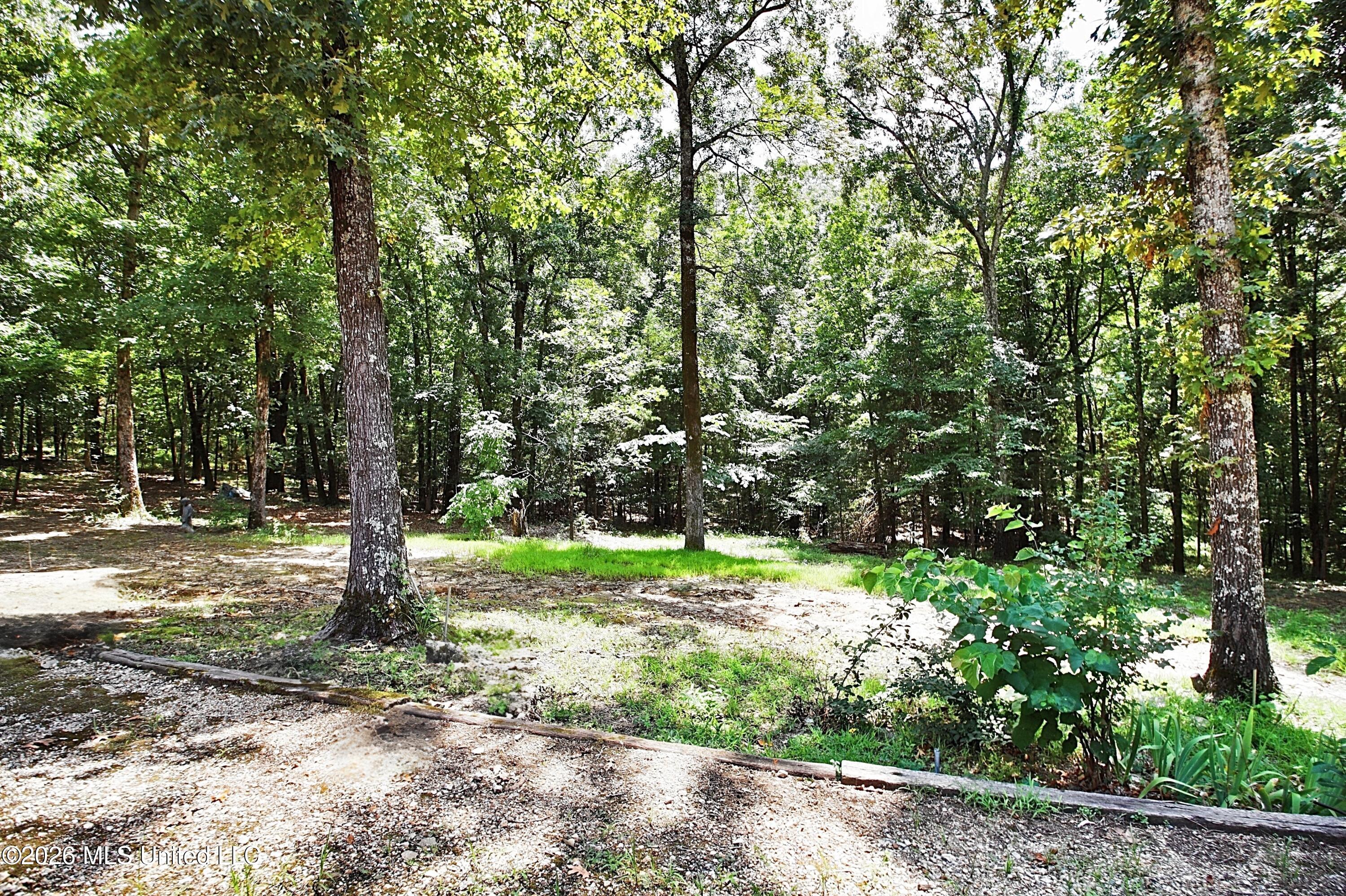 4384 Susan Lane Property Photo 4