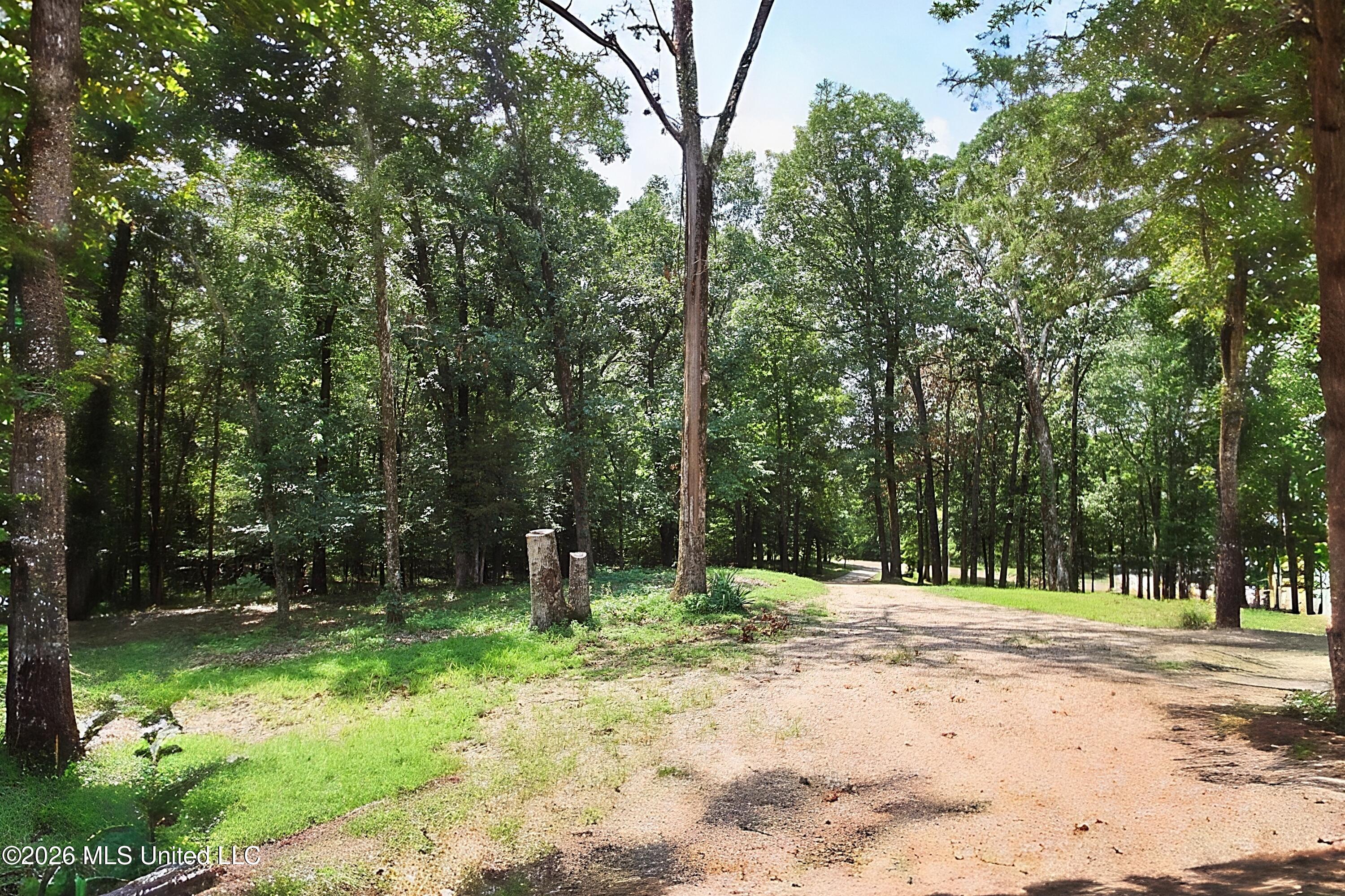 4384 Susan Lane Property Photo 6