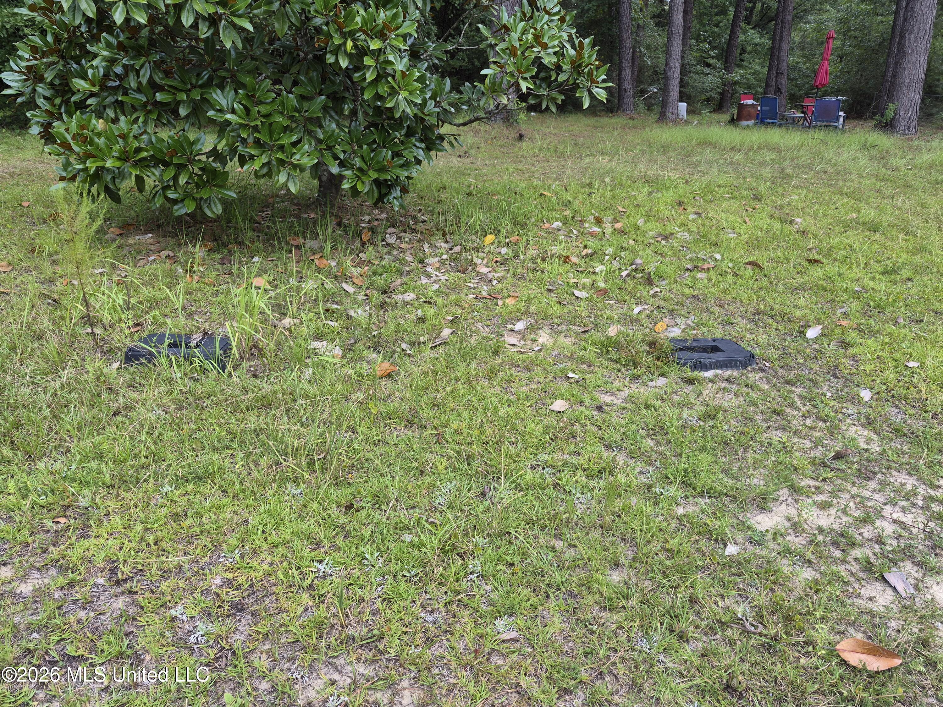 19239 Jabour Drive Property Photo 6