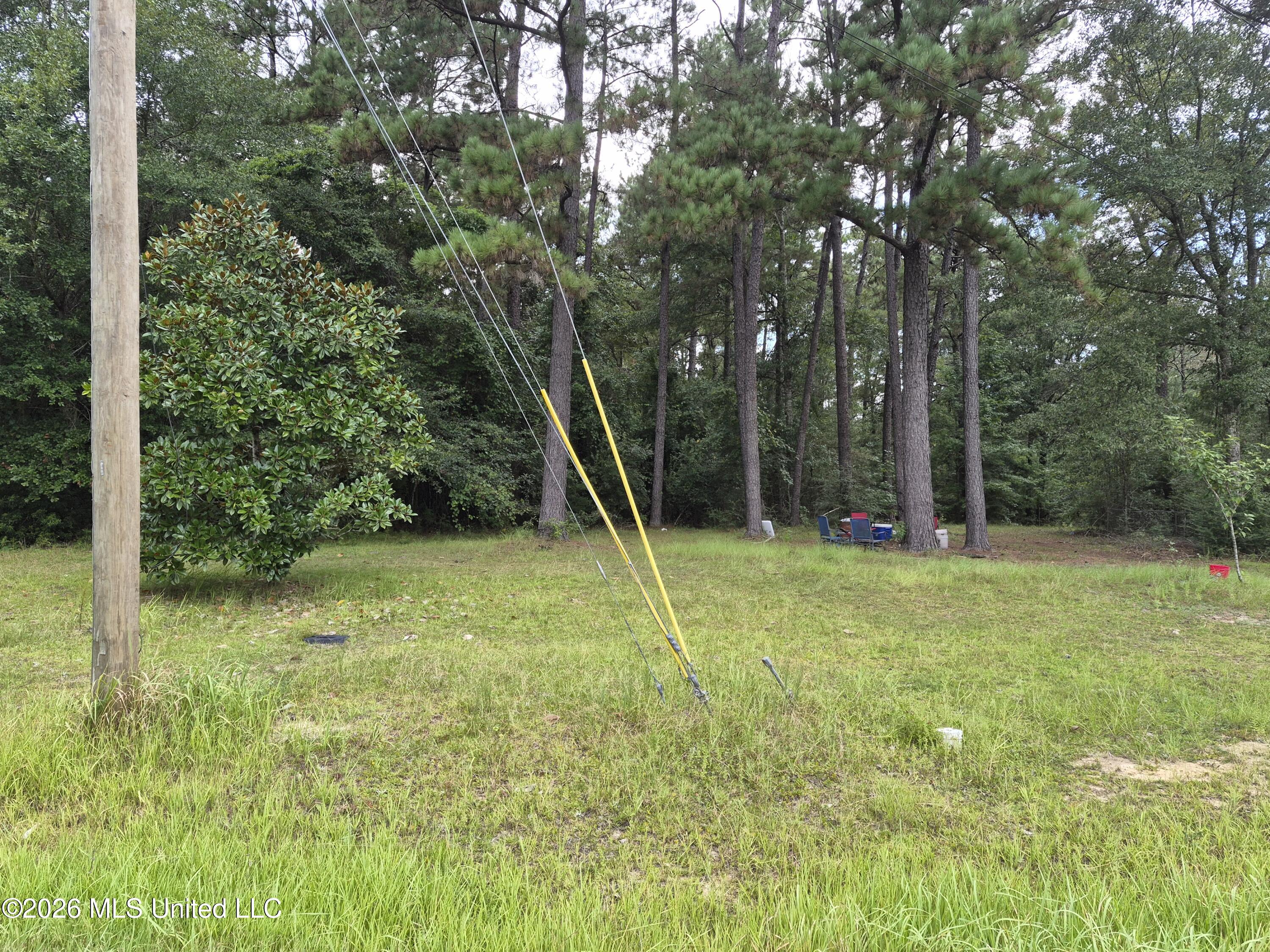 19239 Jabour Drive Property Photo 8