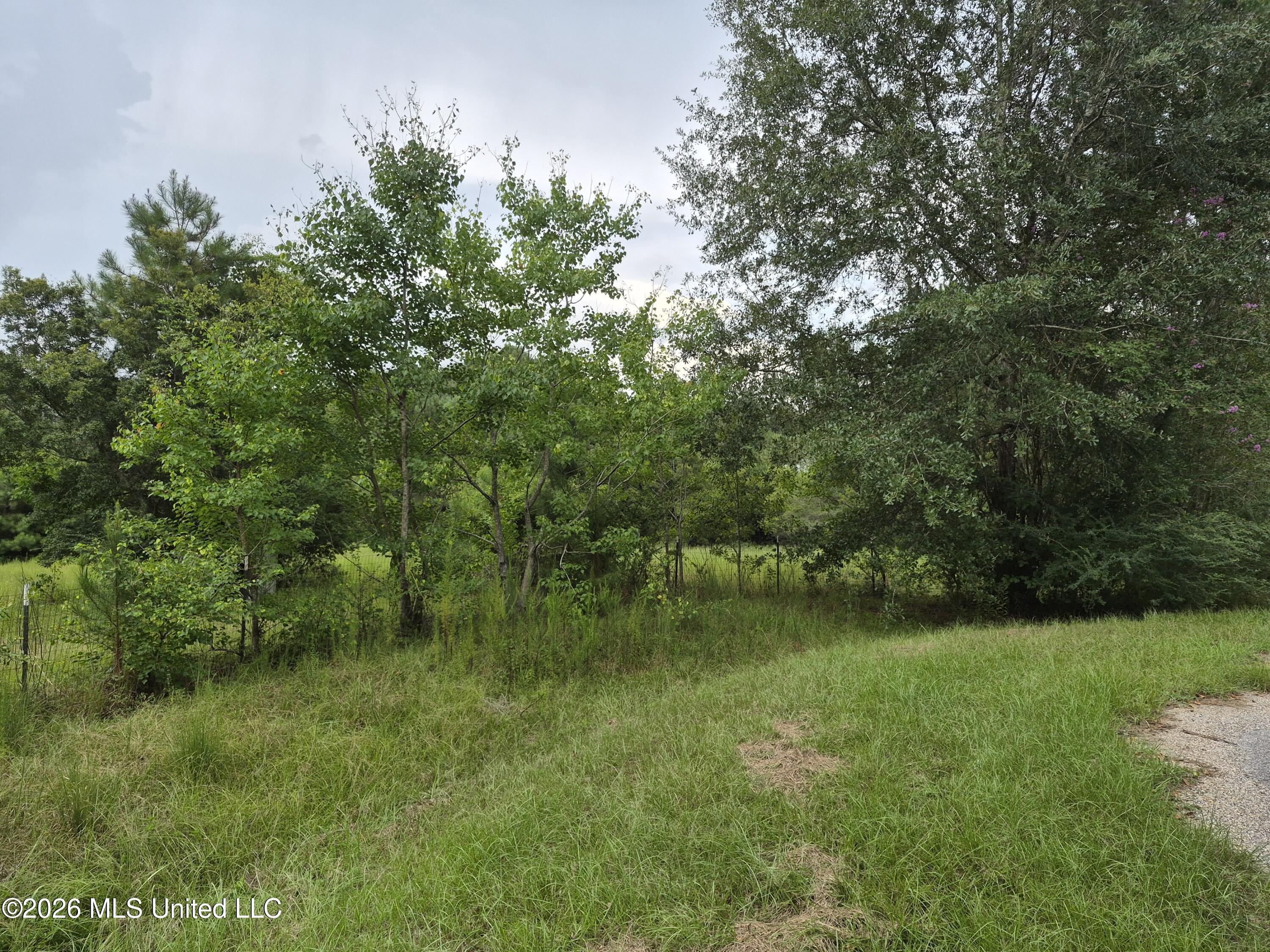 19239 Jabour Drive Property Photo 10