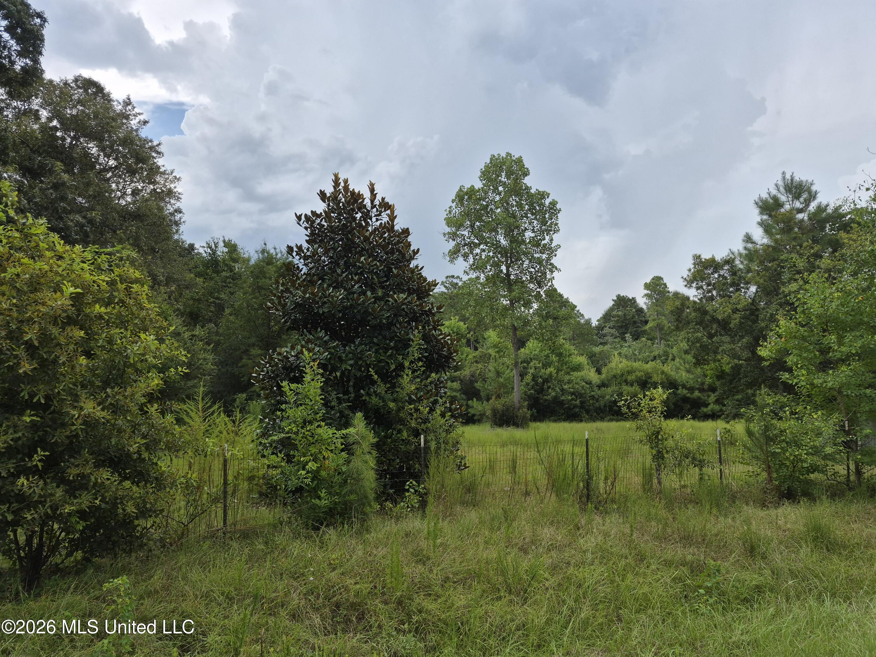 19239 Jabour Drive Property Photo 11