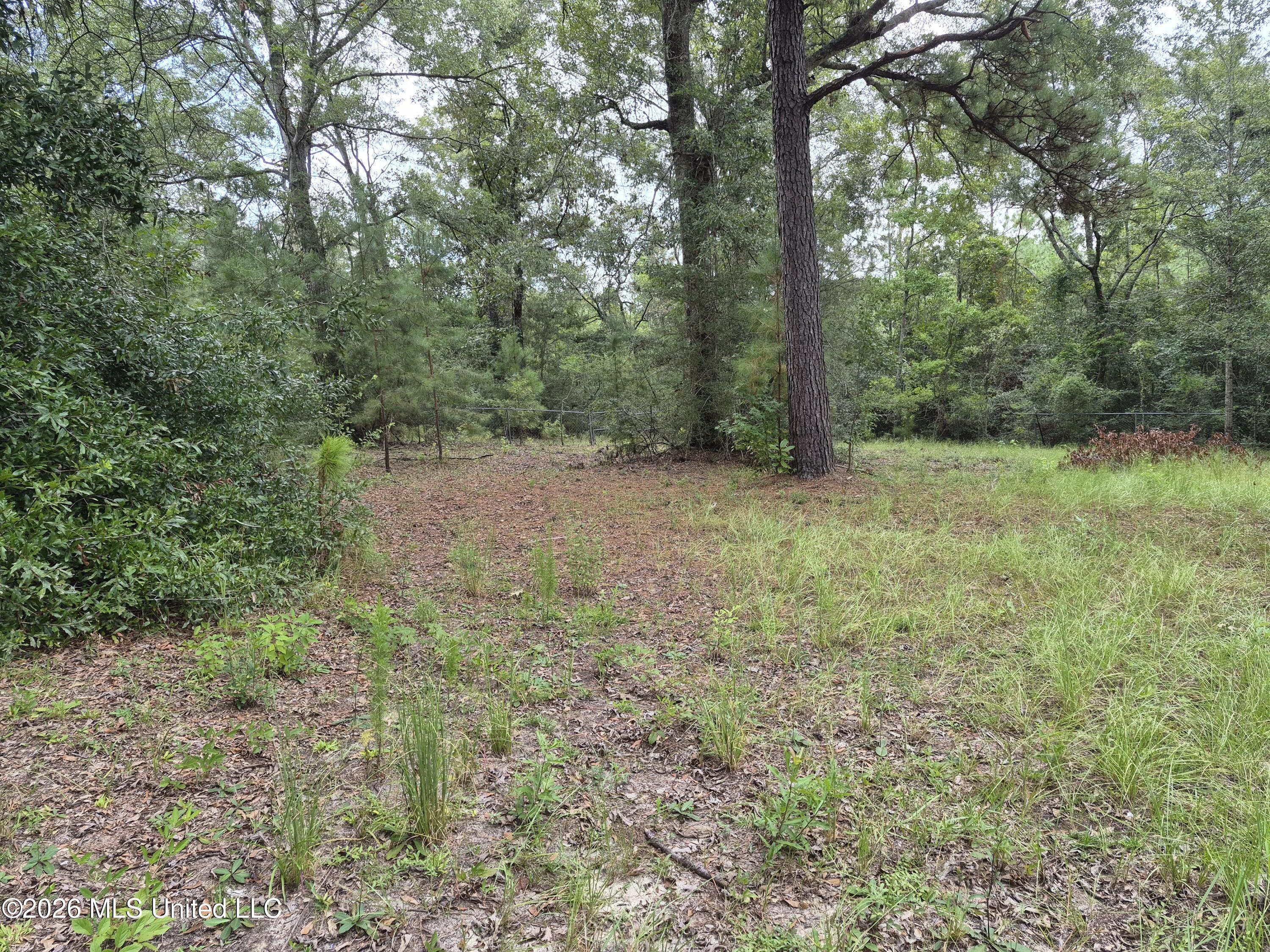 19239 Jabour Drive Property Photo 12