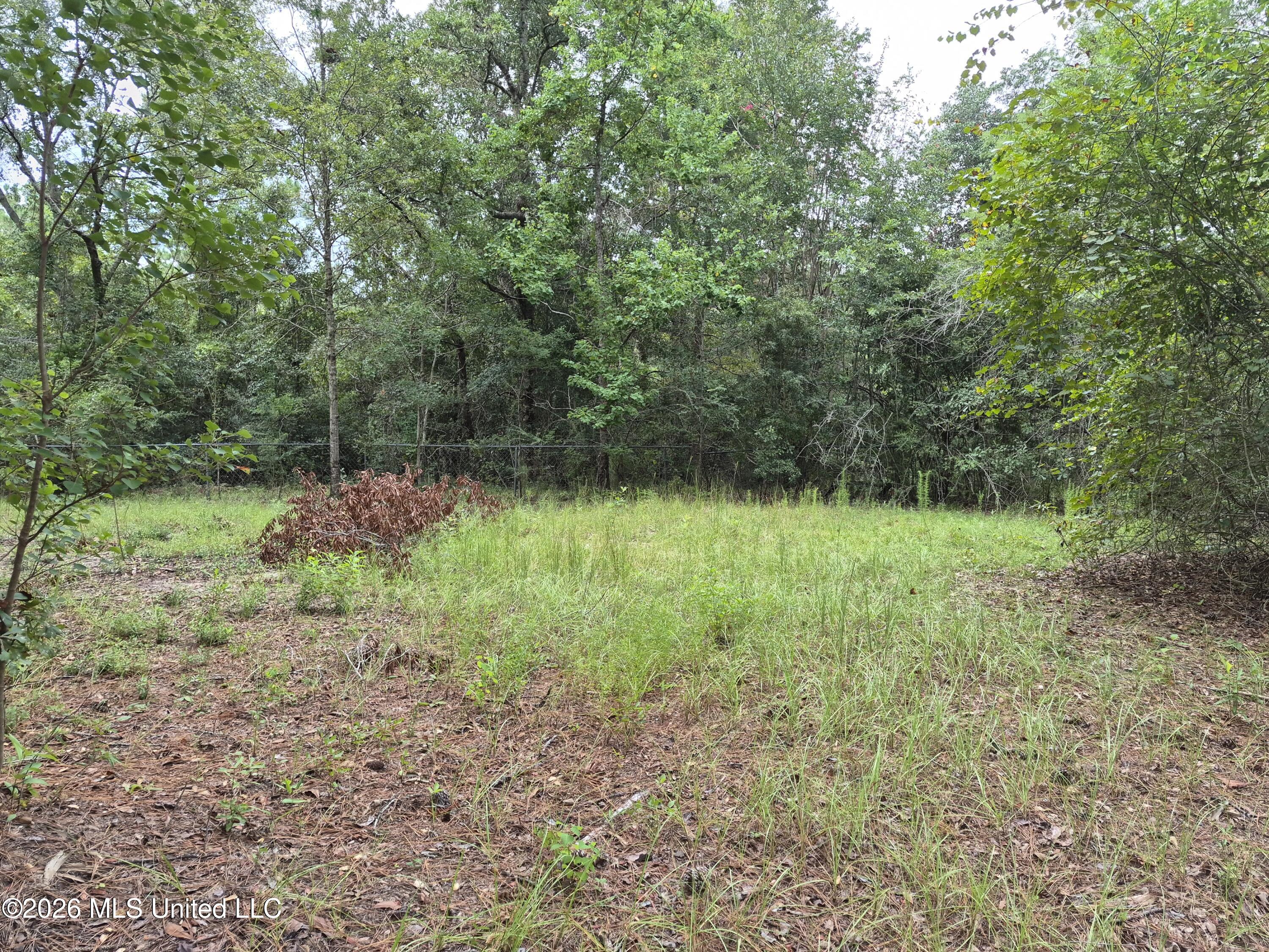 19239 Jabour Drive Property Photo 13