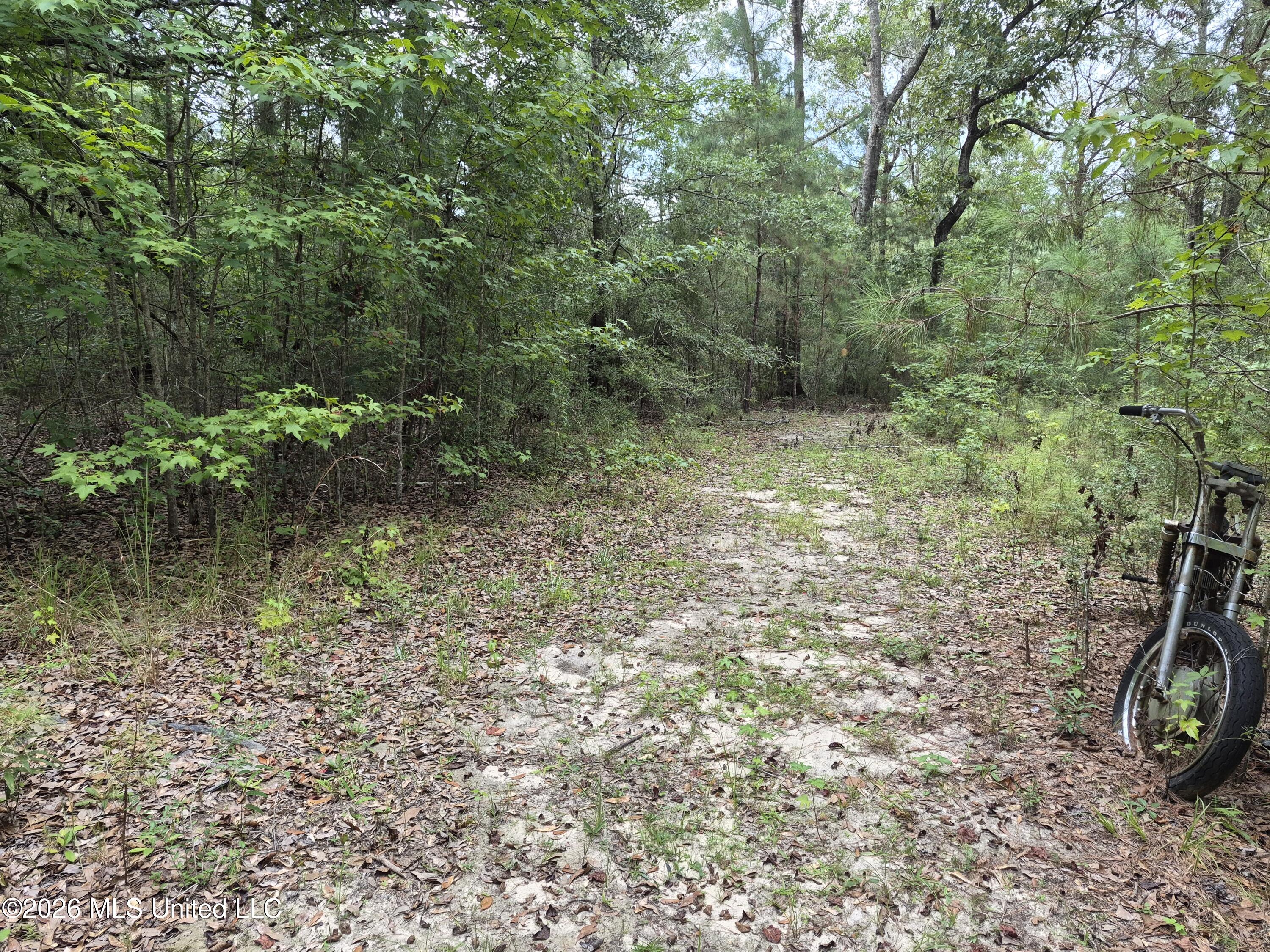 19239 Jabour Drive Property Photo 14