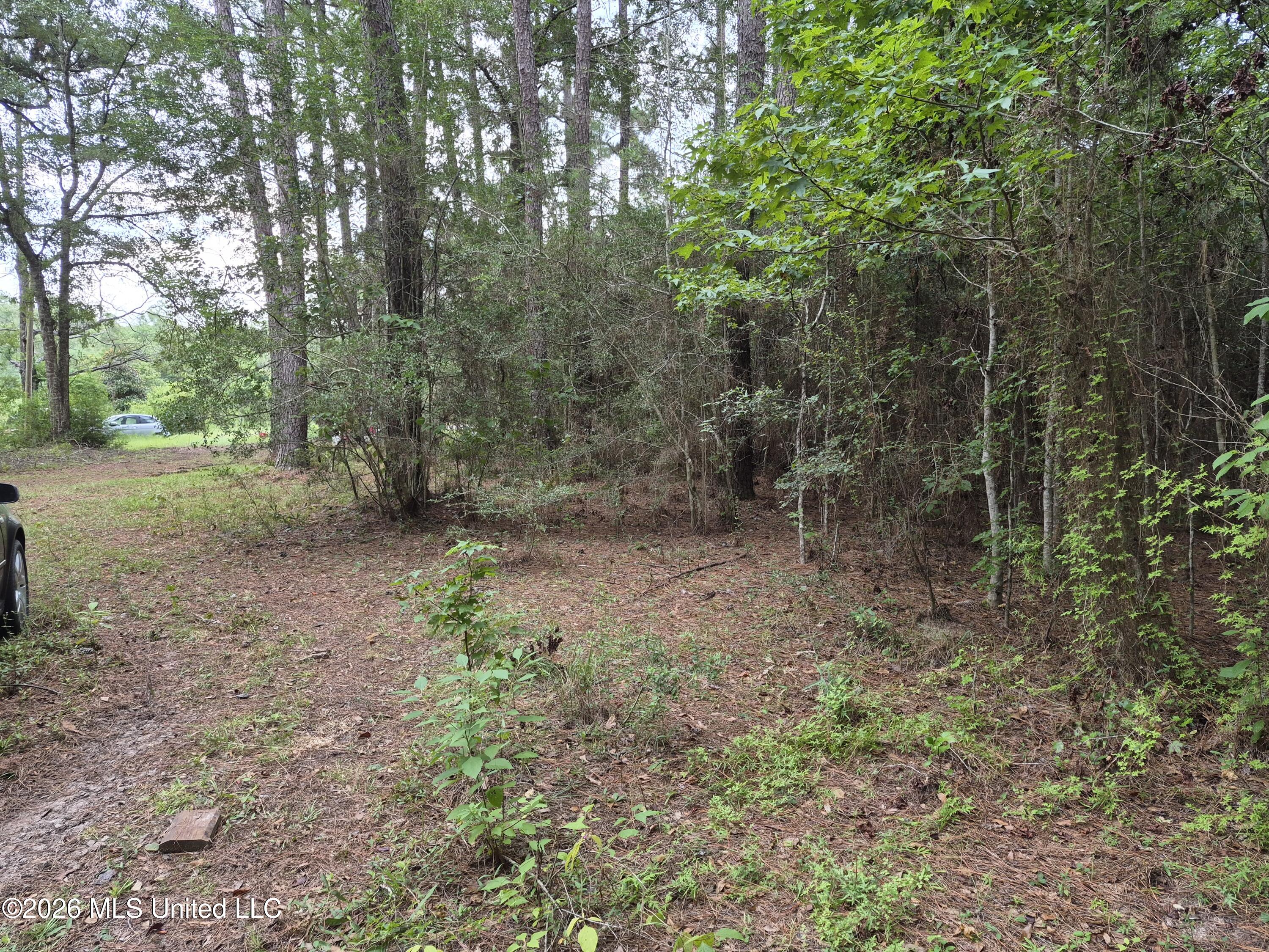 19239 Jabour Drive Property Photo 15