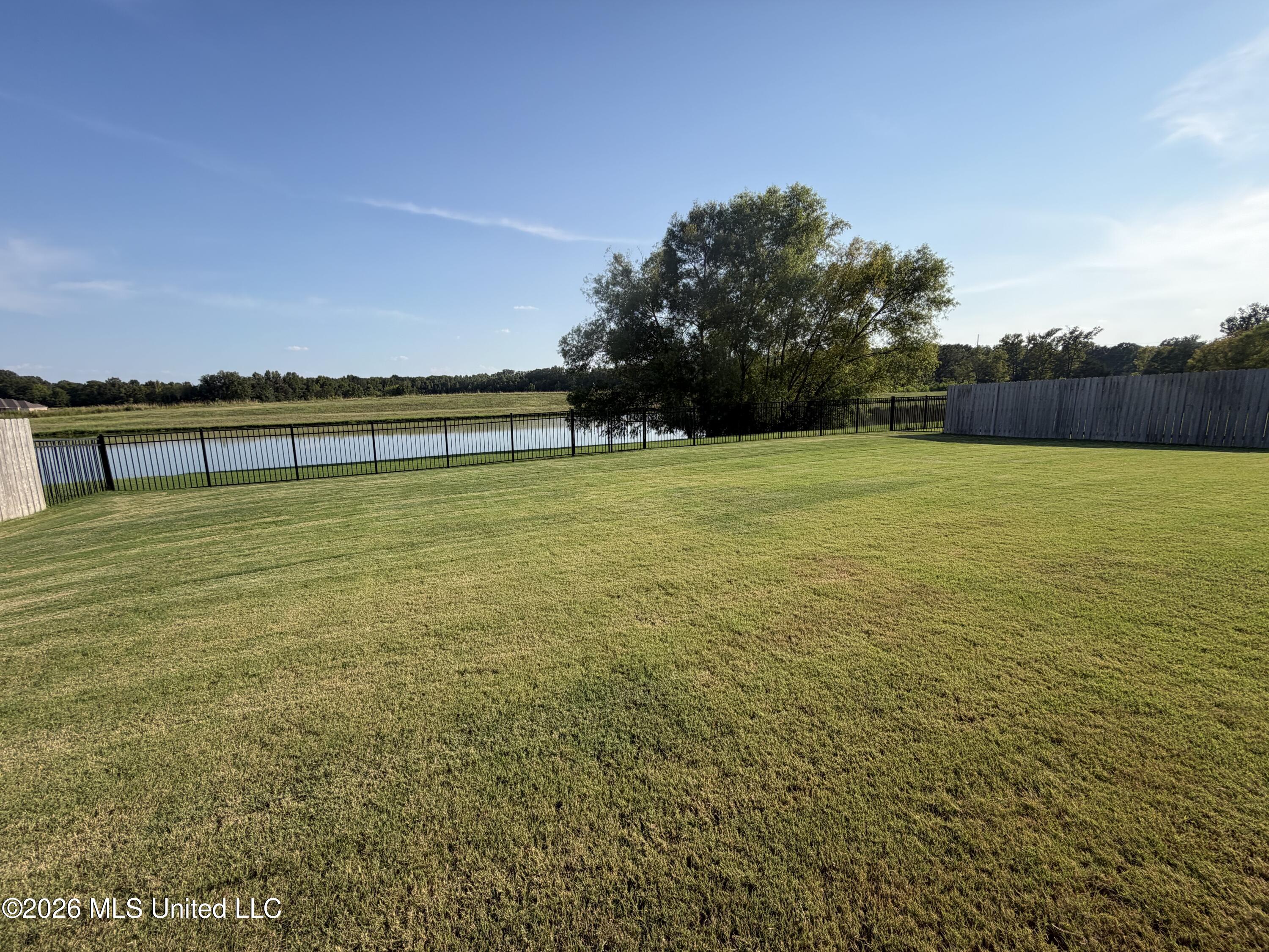 196 Falls Crossing Property Photo 41