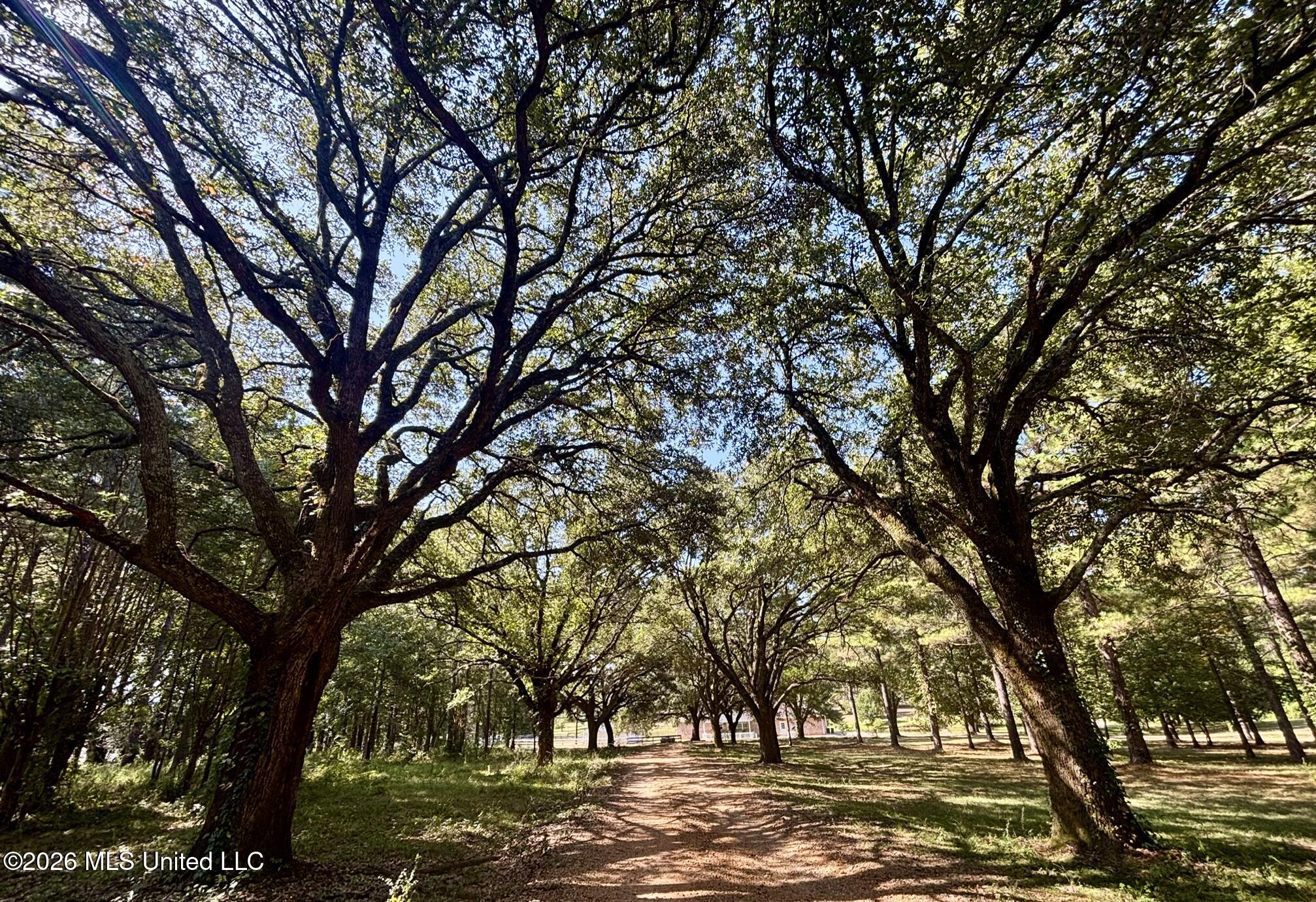 1014 Diane Circle Property Photo 26
